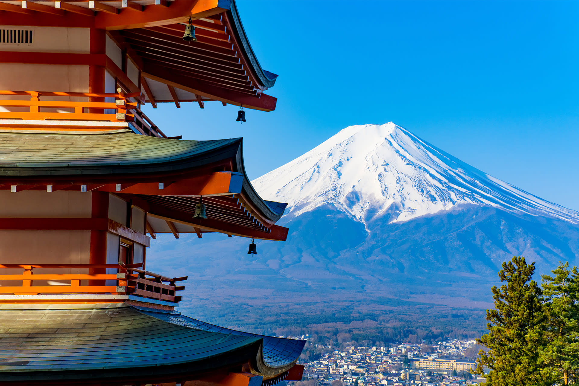 Tokyo Mount Fuji Lake Kawaguchiko Full-Day Small Group Tour (Driver and Guide Service) - Thumbnail 11