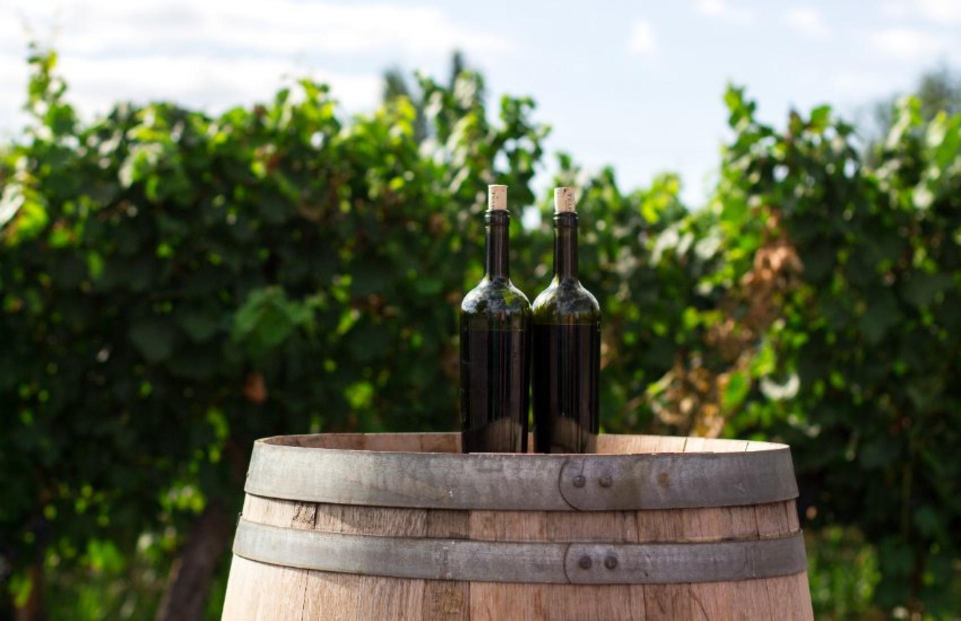 Chianti Vineyards Tour with Wine Tasting & Dinner from Florence - Thumbnail 2