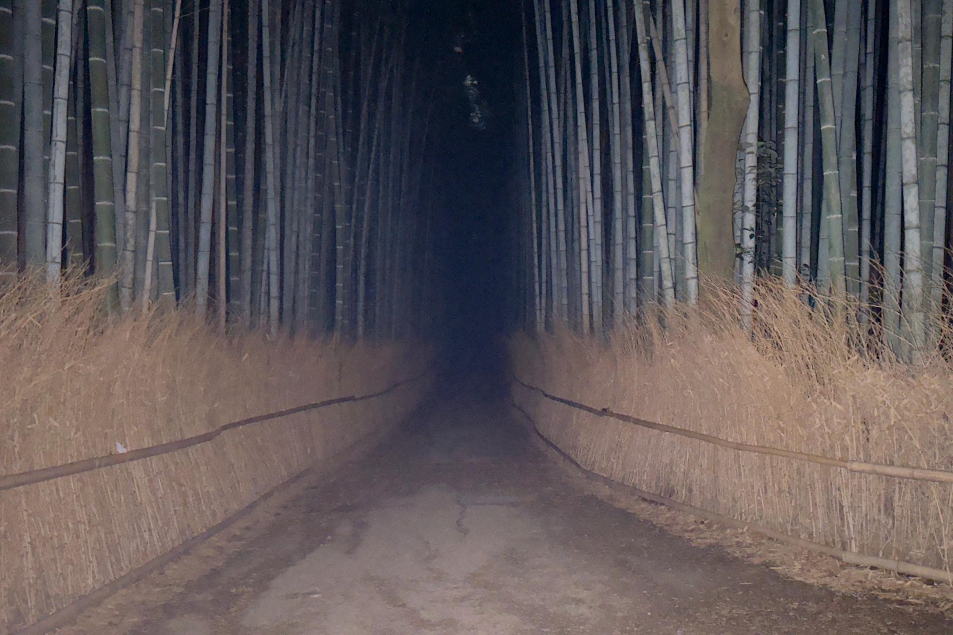 Kyoto Ghost Tour: Bamboo, Unsolved Mysteries & Dark Tales - Thumbnail 2