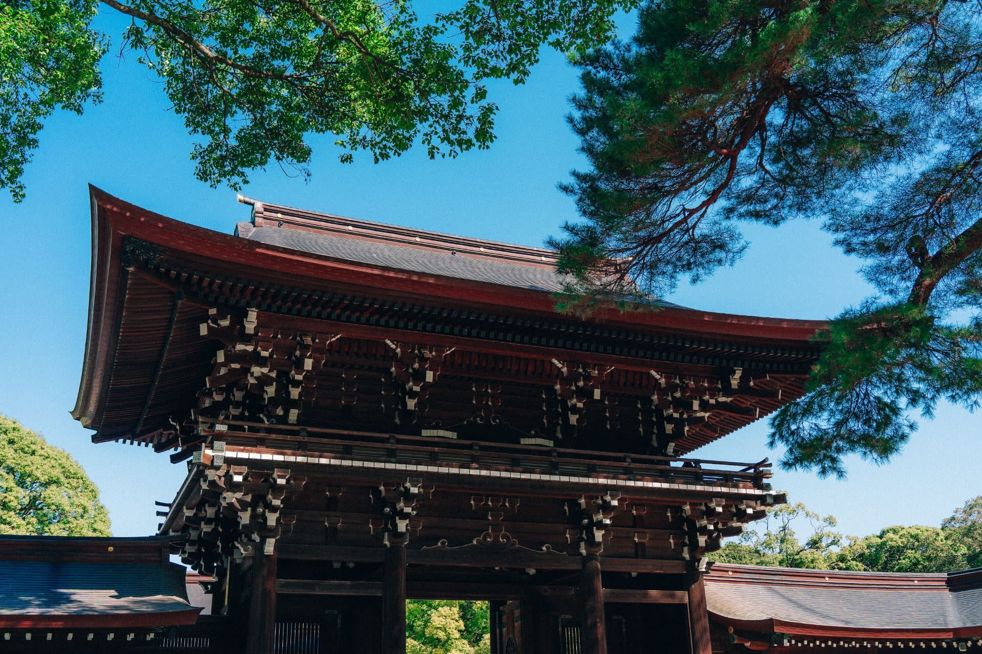 Tokyo Early Morning Tour Asakusa Meiji Shrine and Tsukiji Market - Image 1