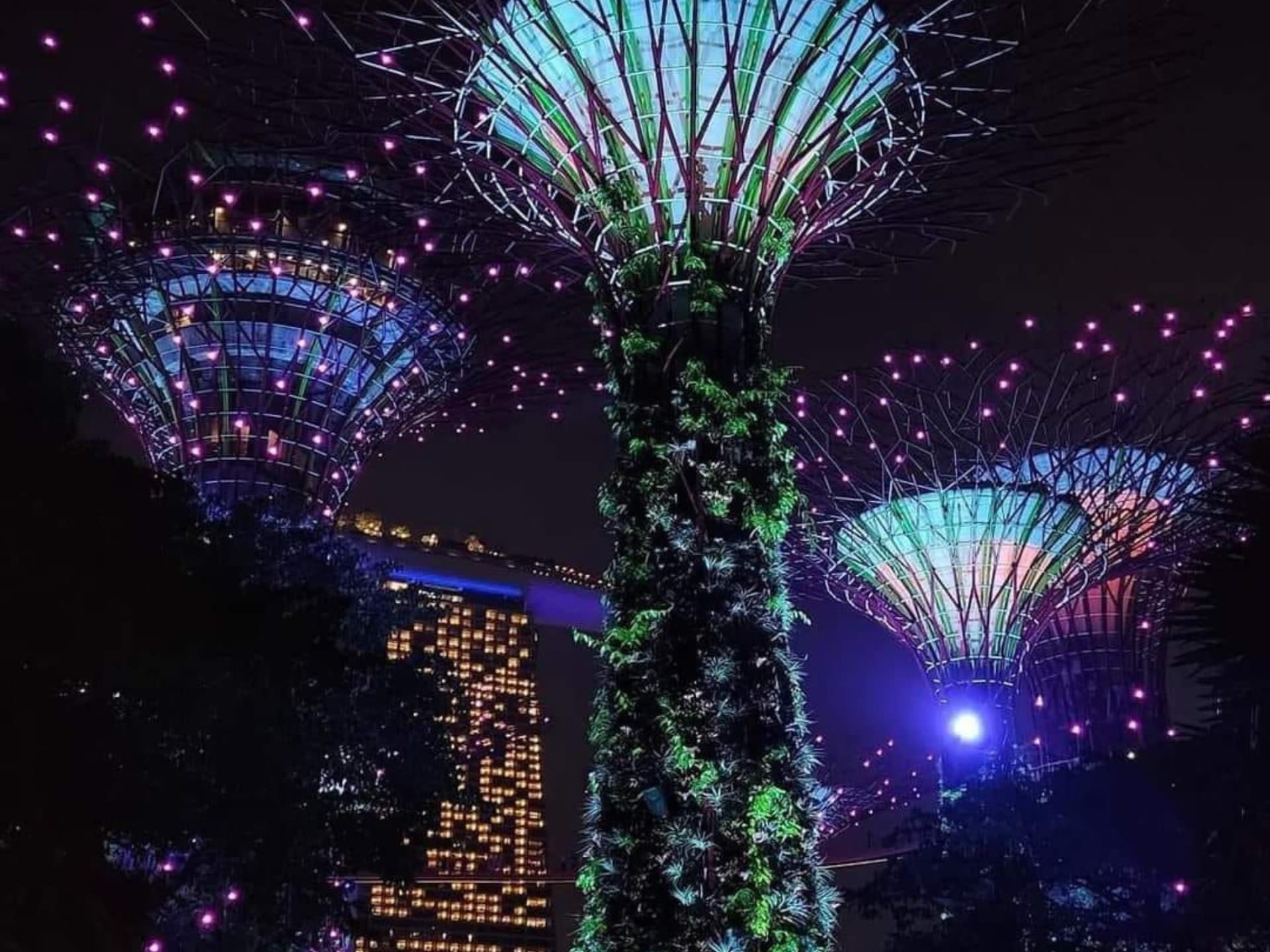 Singapore River Cruise & Gardens by the Bay Evening Tour - Thumbnail 8