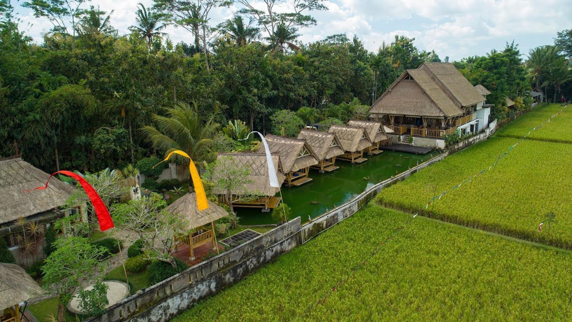 Dining Experience at Bebek (Duck) Tebasari Restaurant Ubud - Thumbnail 2