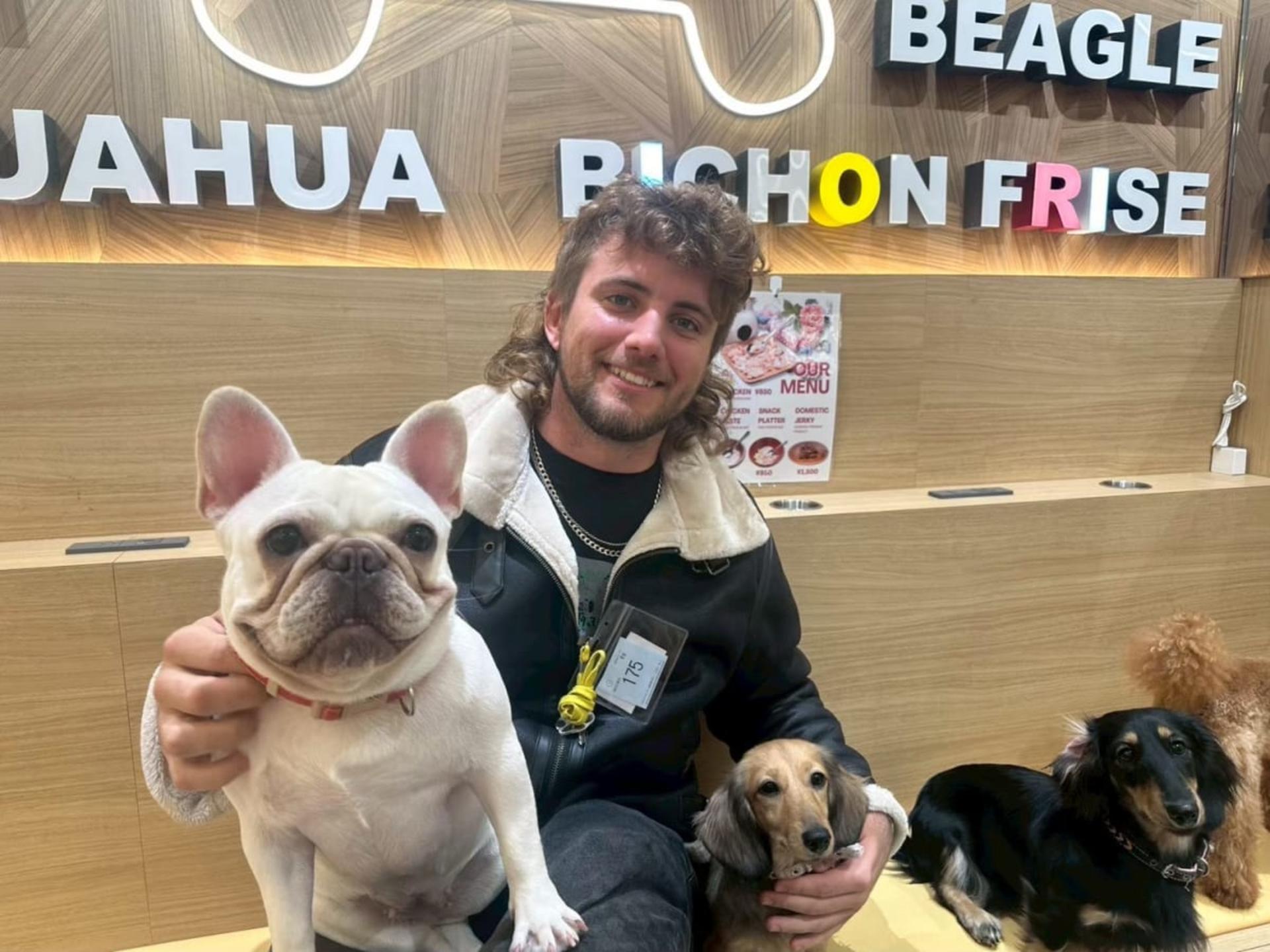 Play with Dogs at Dog Cafe Rio Akihabara [Dog Cafe Rio Akihabara] - Thumbnail 6