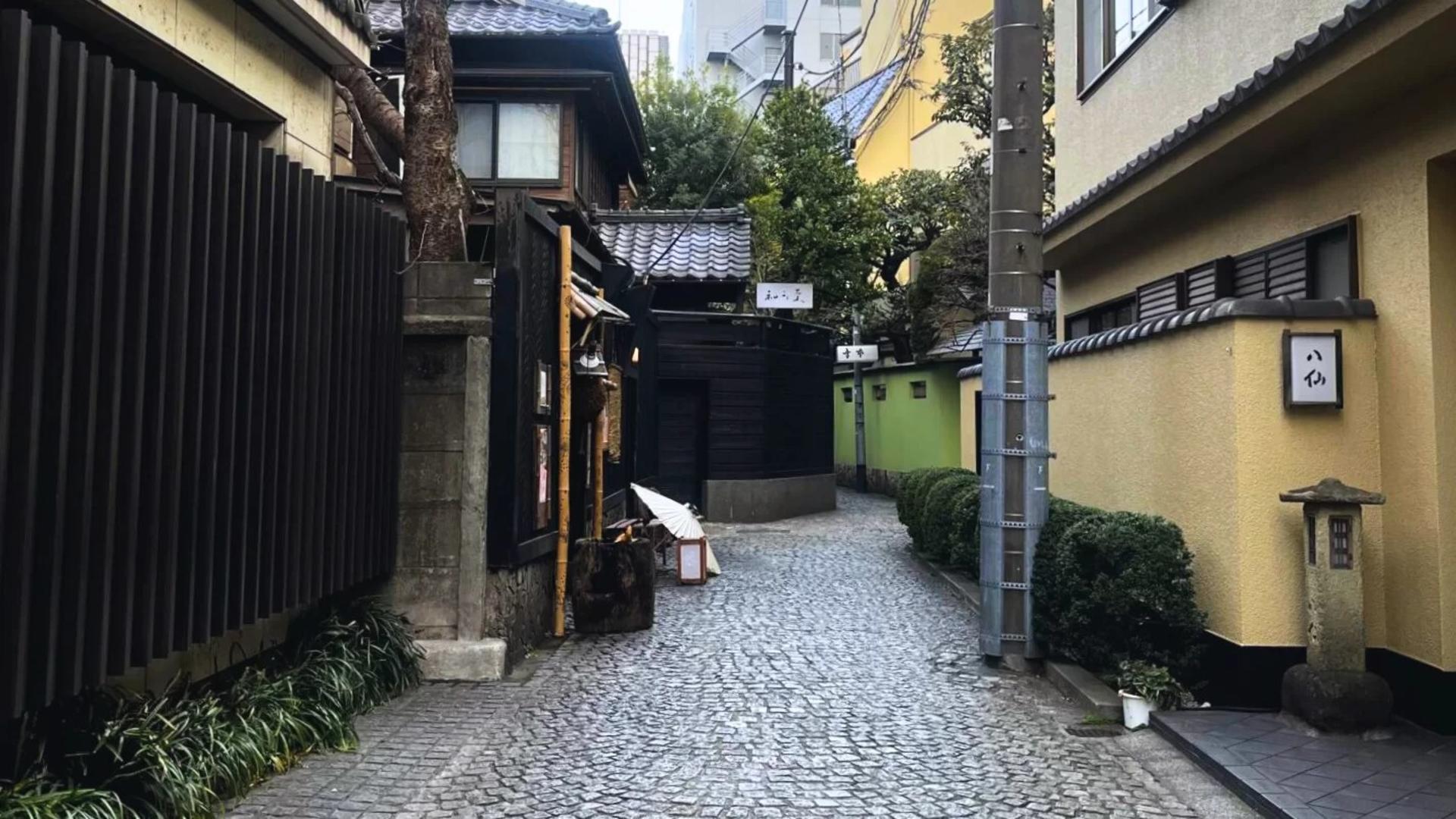 Walking Tour in Shinjuku and Kagurazaka: Hot Spots and Hidden Gems - Thumbnail 5