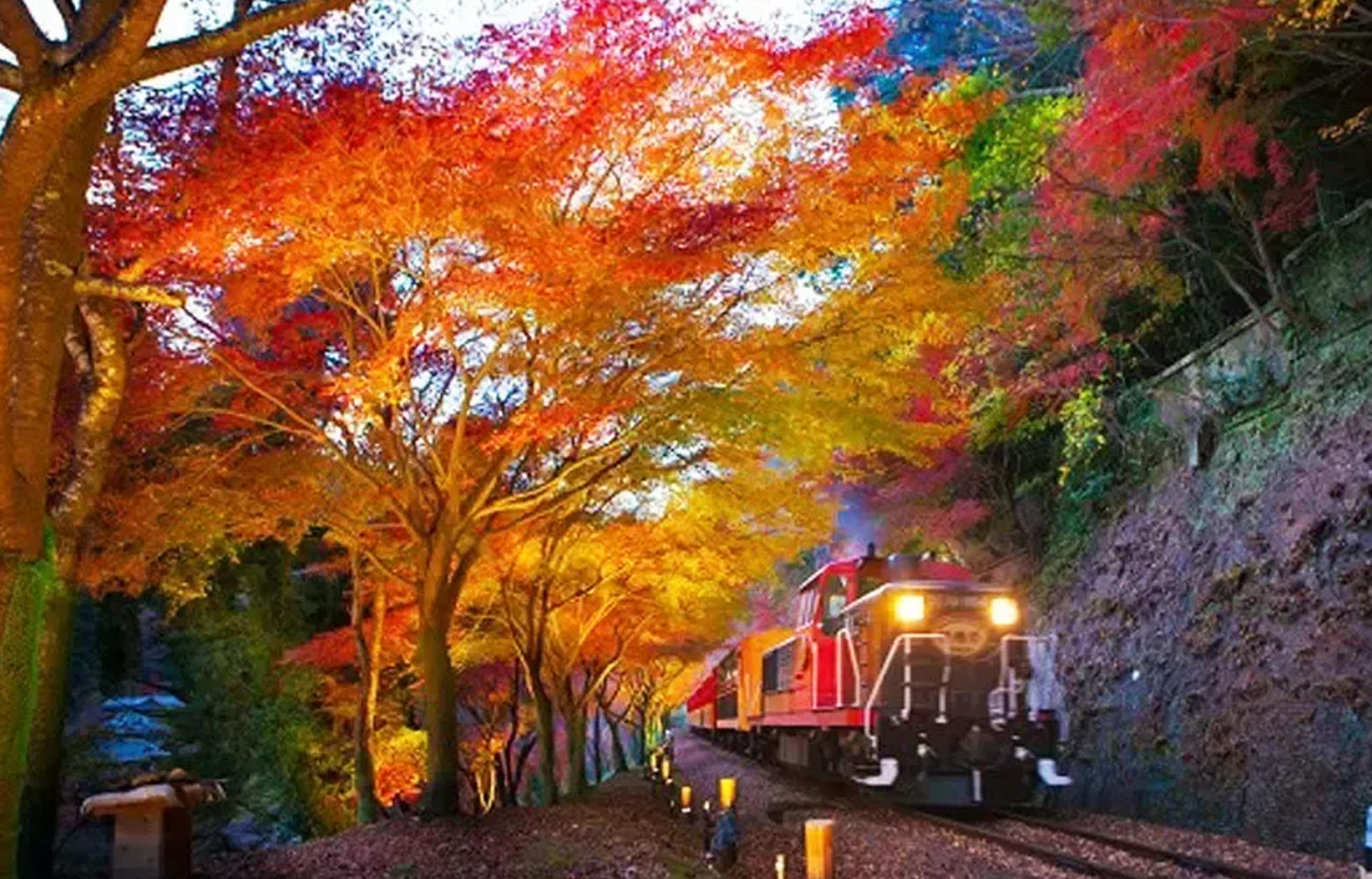 Kinkaku-ji Temple & Arashiyama Night Train Illuminations Autumn Foliage Viewing Day Tour - Thumbnail 13