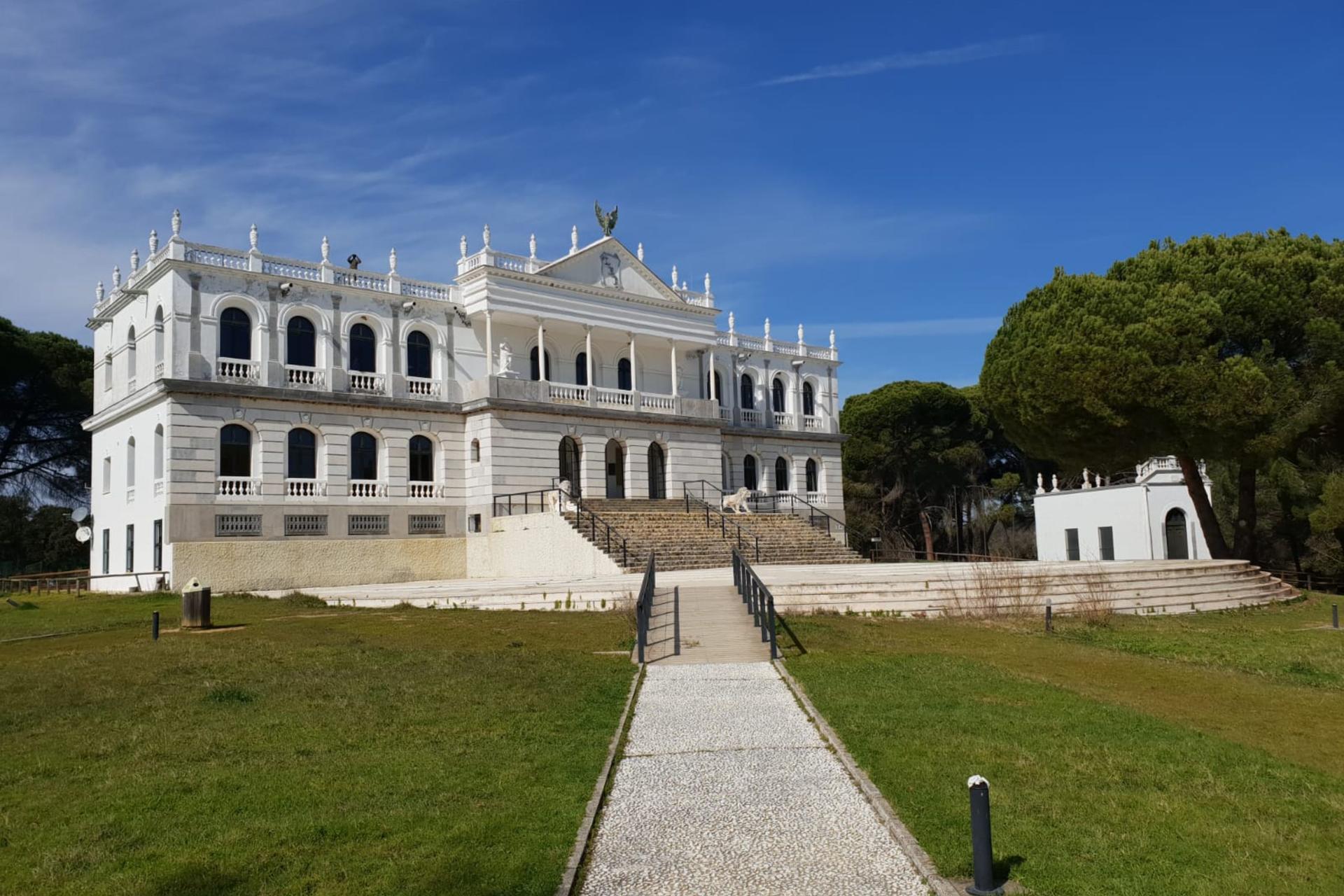 Donana National Park and El Rocio Village Day Tour from Seville - Thumbnail 10