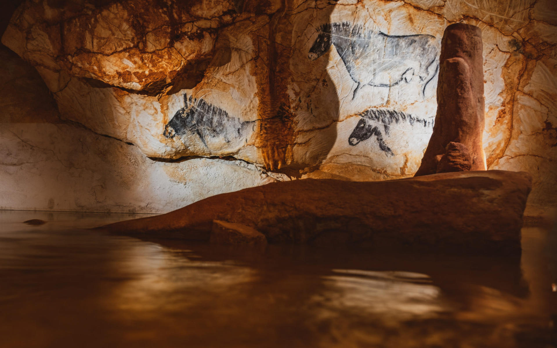 Cosquer Cave Ticket in Marseille - Image 1