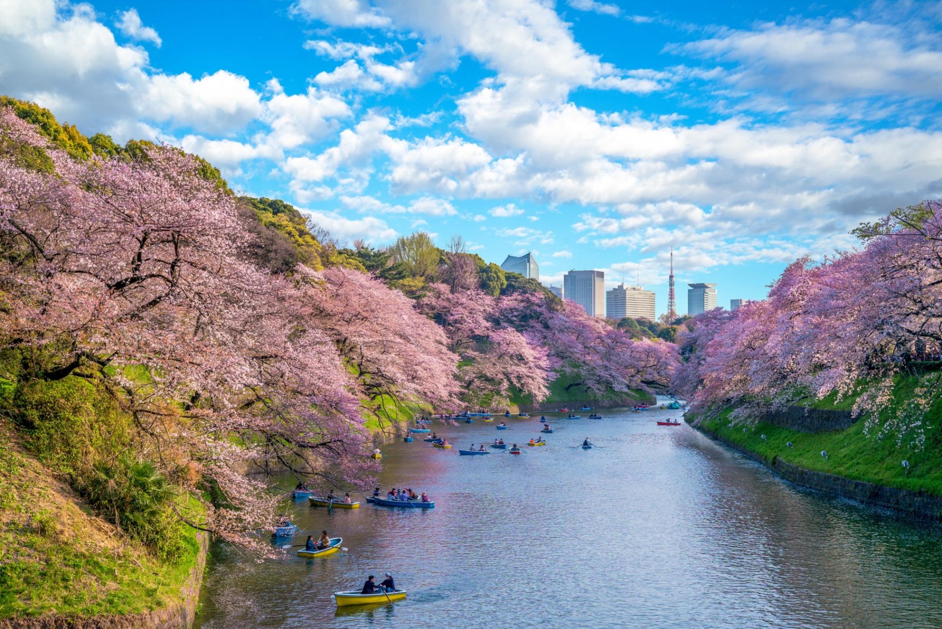 Best of Tokyo Morning Small Group Tour - Image 1