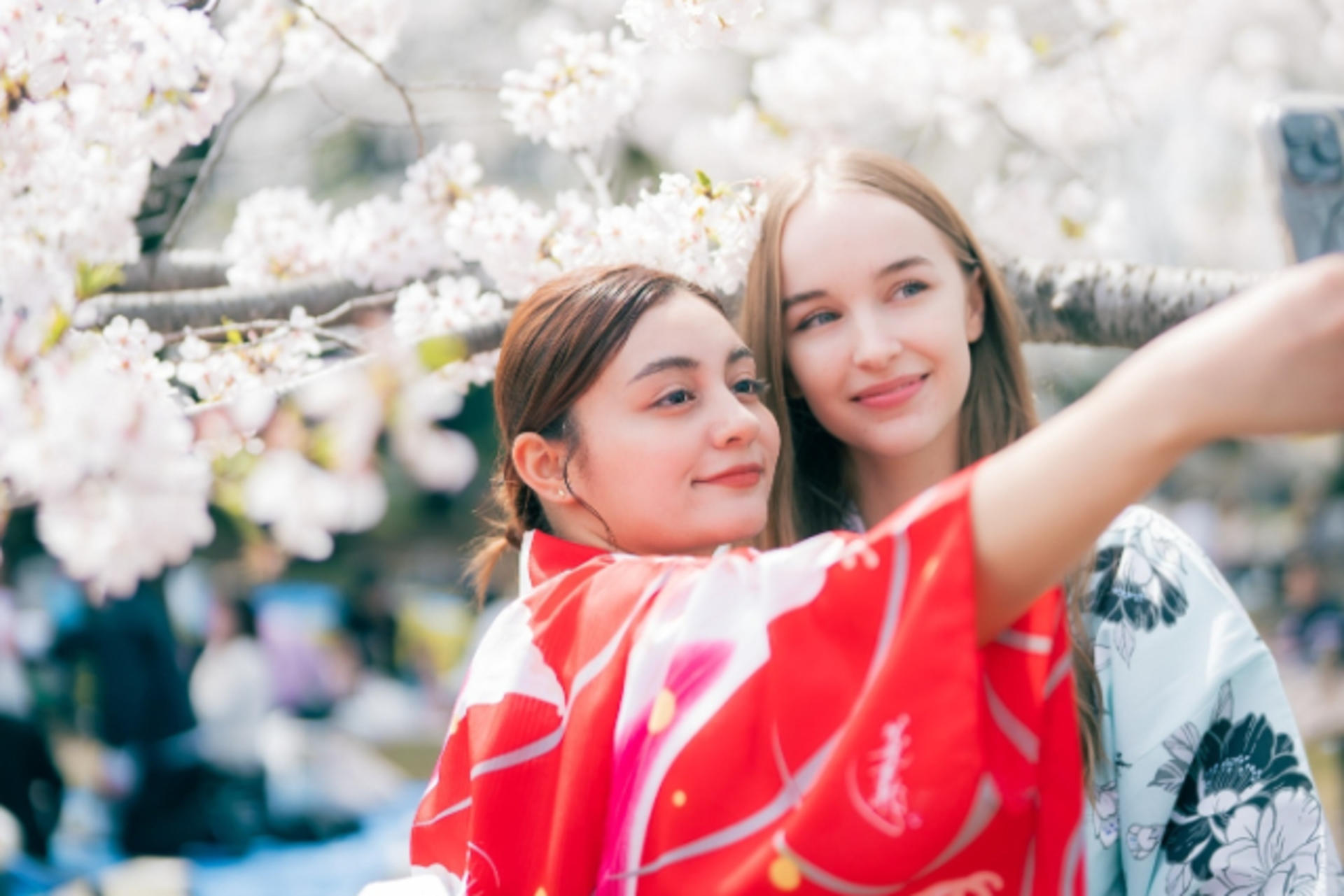 Tokyo Kimono Rental SHIBUI Harajuku Store - Thumbnail 3