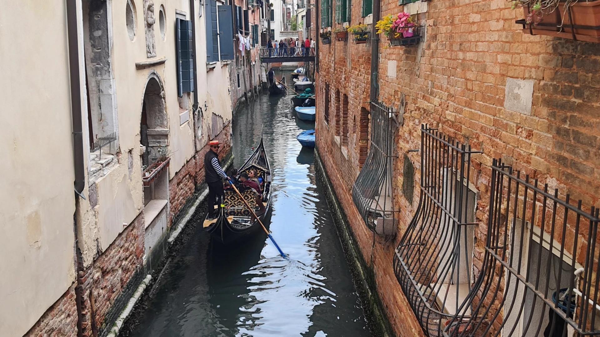 Street food and sightseeing walking tour in Venice - Thumbnail 4