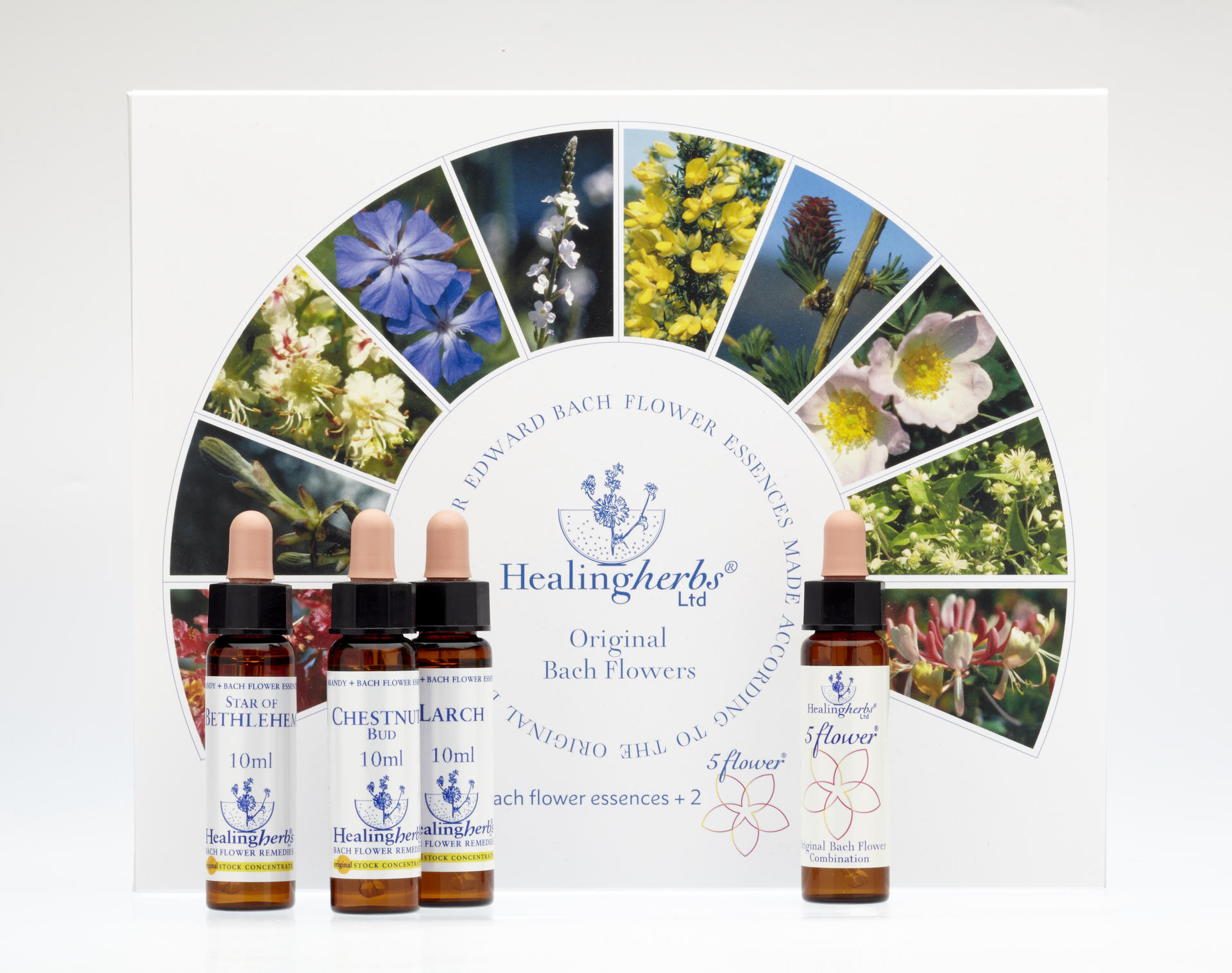 Emotional Wisdom with Bach Flower Remedies - Thumbnail 4