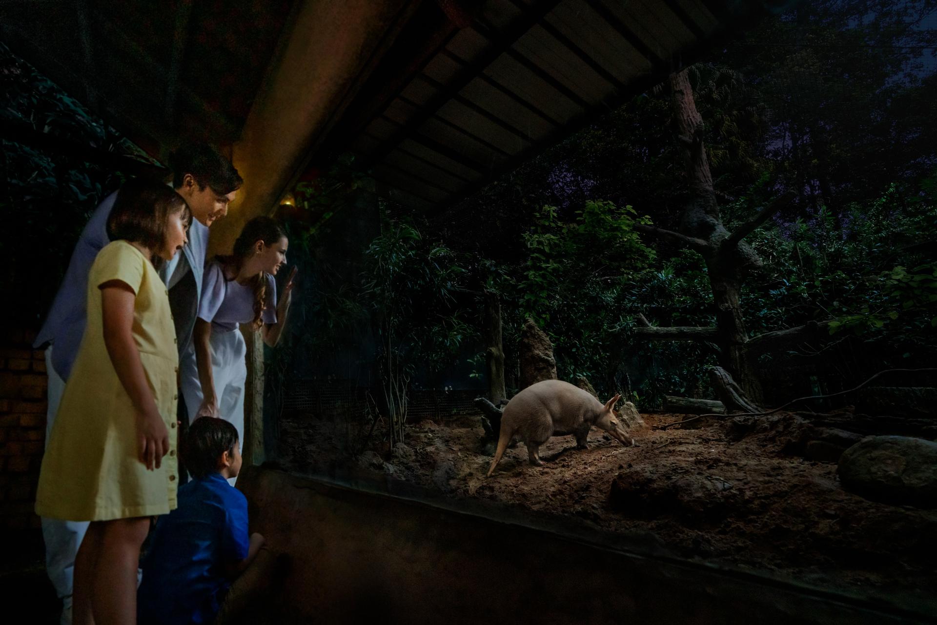 Night Safari Ticket | Mandai Wildlife Reserve, Singapore - Thumbnail 18