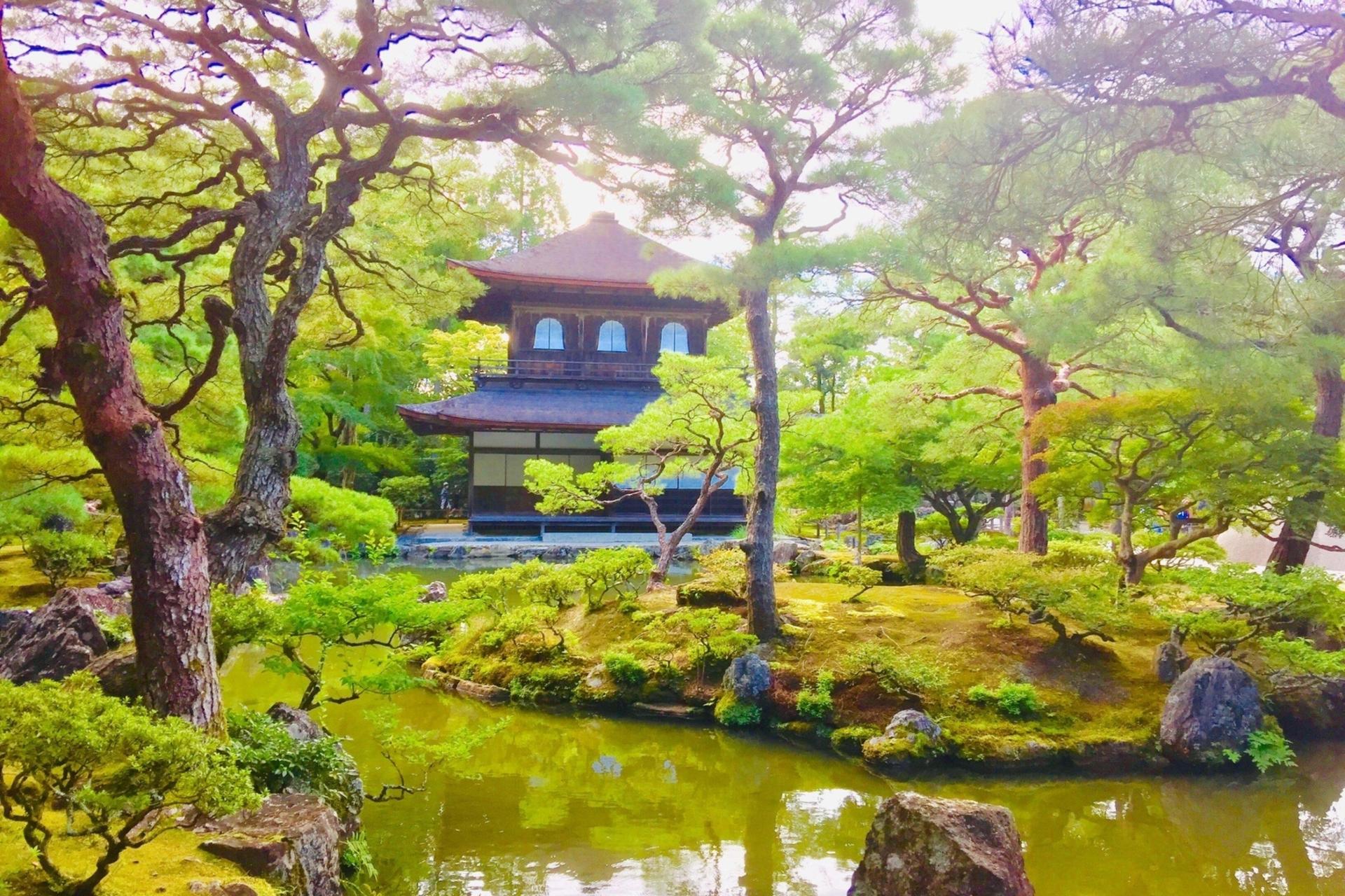 Half-Day Private Guided Tour to the Silver Pavilion in Kyoto - Thumbnail 2
