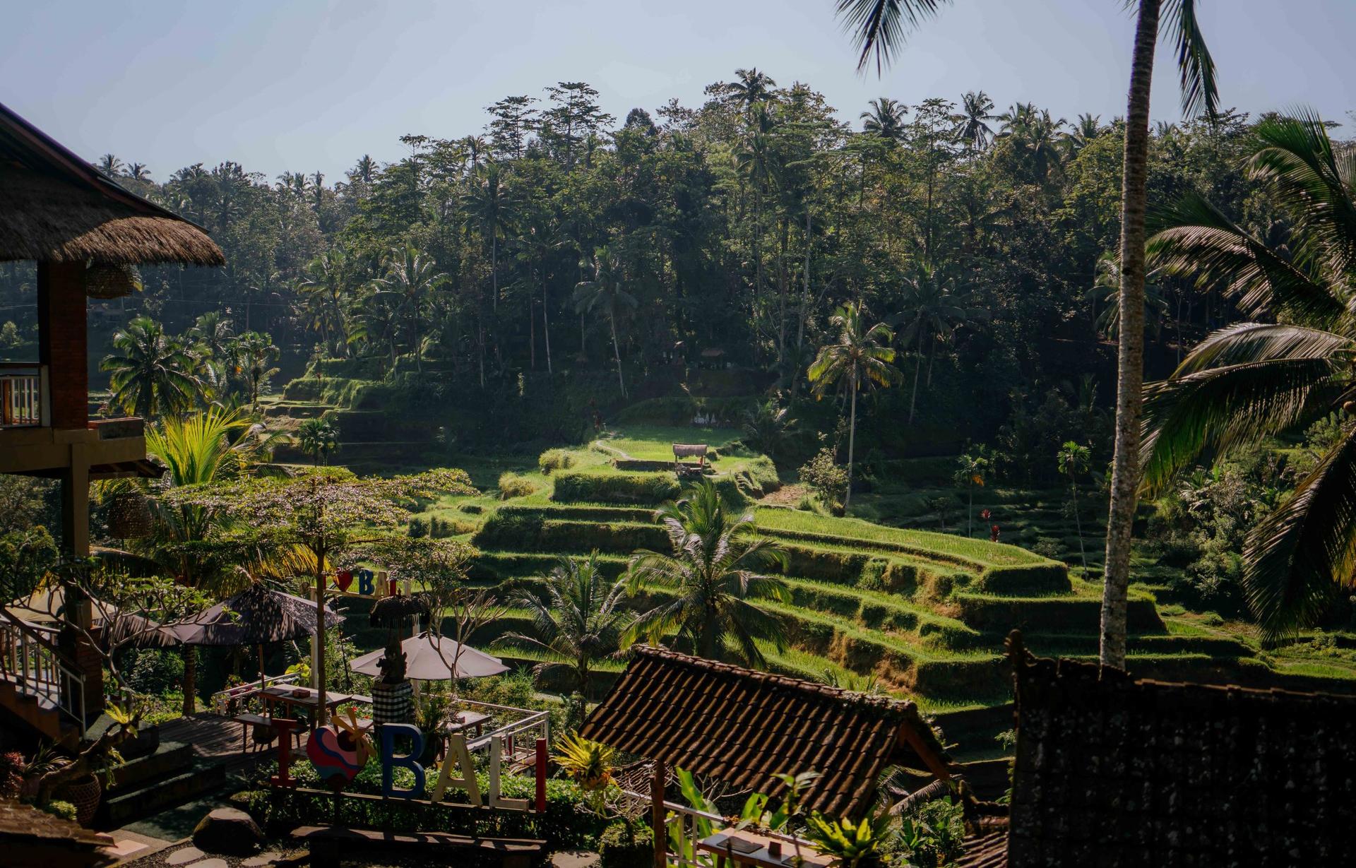 2D1N Ultimate Adventure: Ubud, Rafting & ATV Thrill - Thumbnail 6