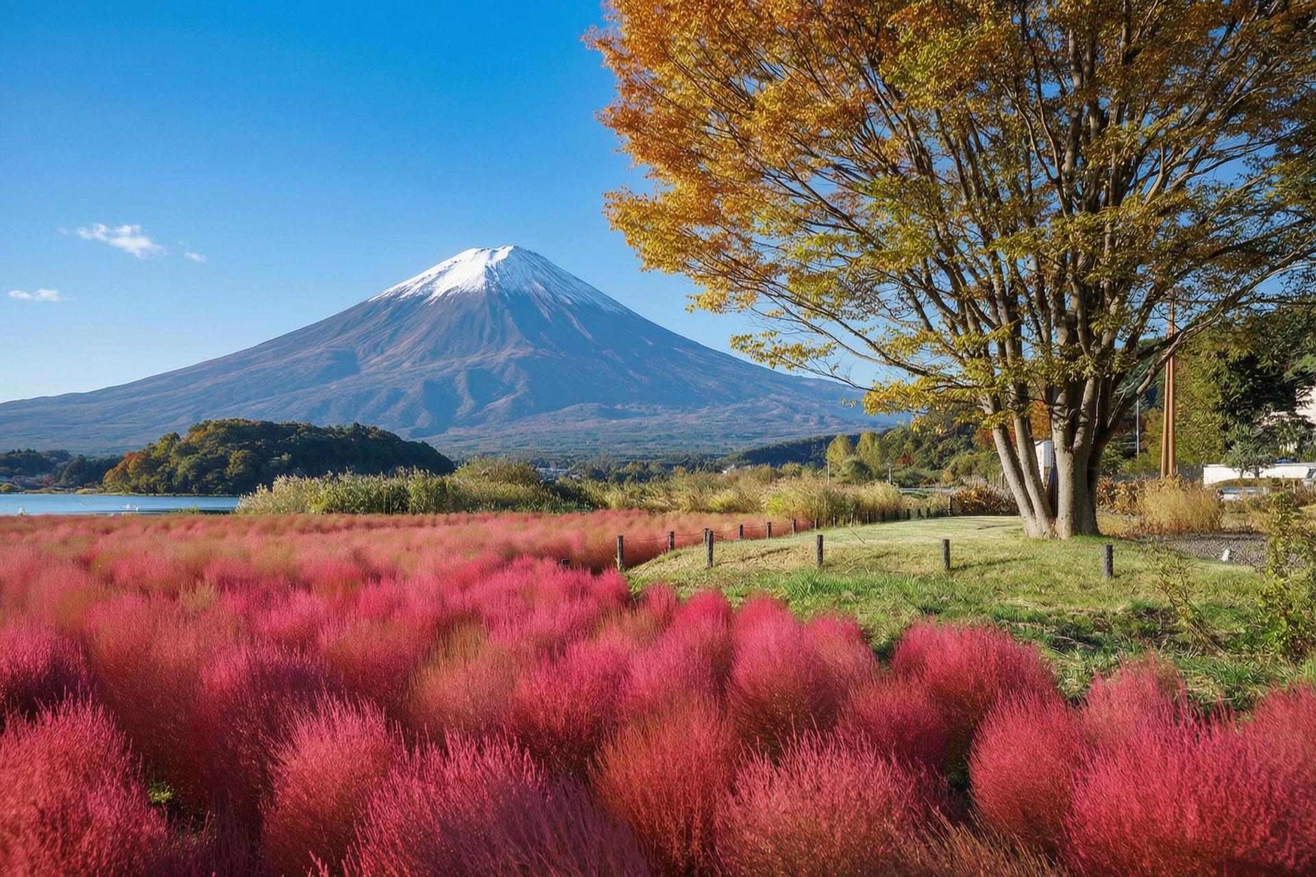 Mount Fuji Brilliant Scenery One-Day Tour (Departing from Tokyo) - Thumbnail 15