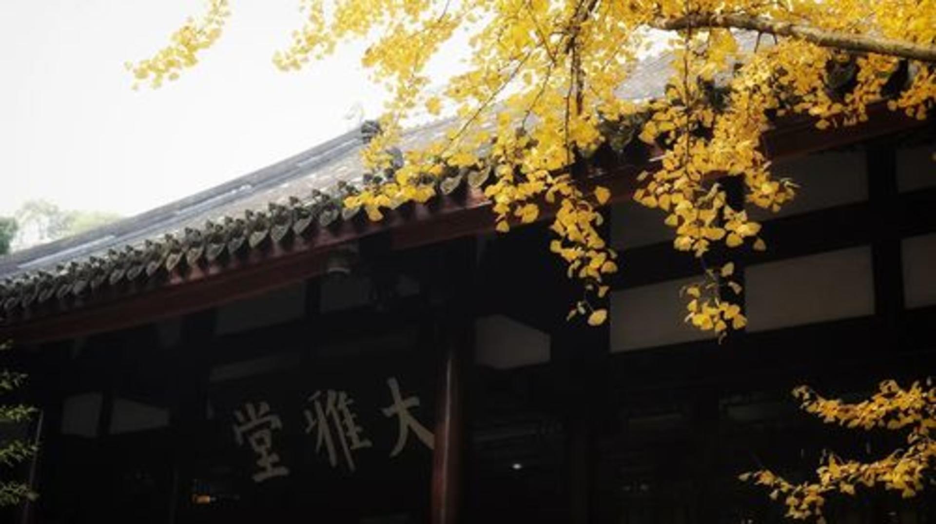 Du Fu Thatched Cottage - Thumbnail 3