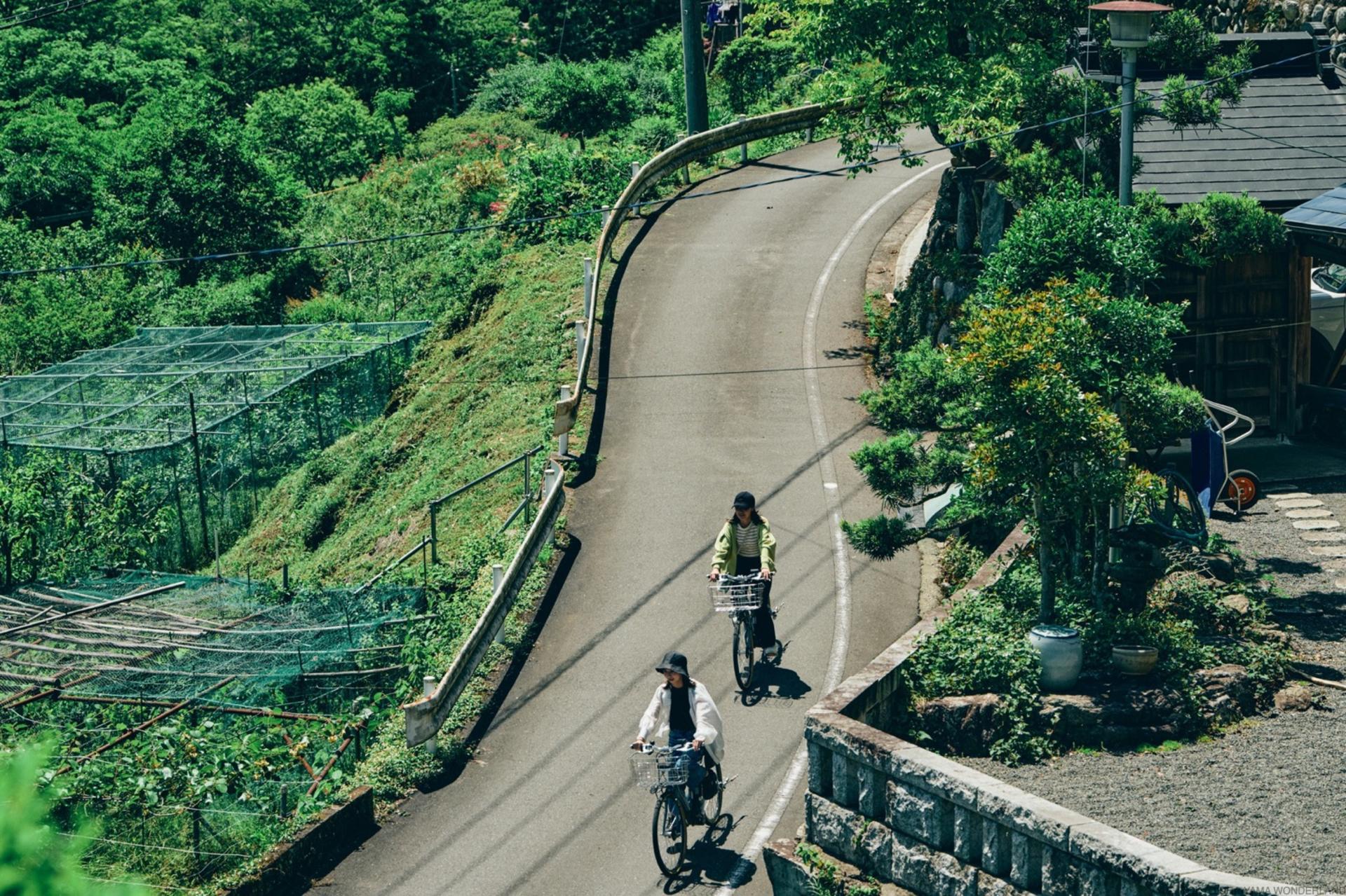 Akiruno Electric Bike & Nature Half-Day Tour - Thumbnail 16