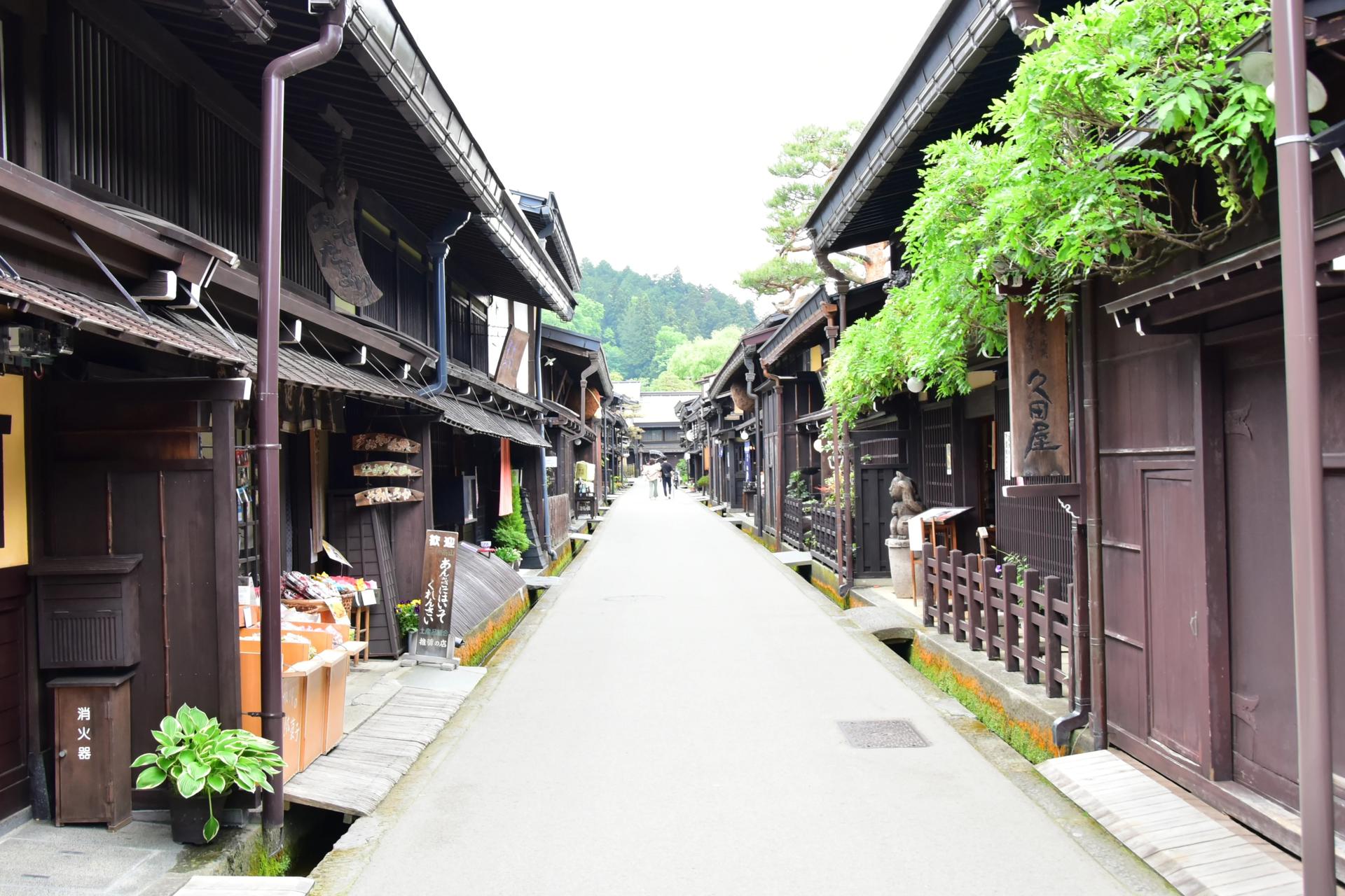 Gifu & Takayama Access Ticket: Nagoya Departure - Thumbnail 2