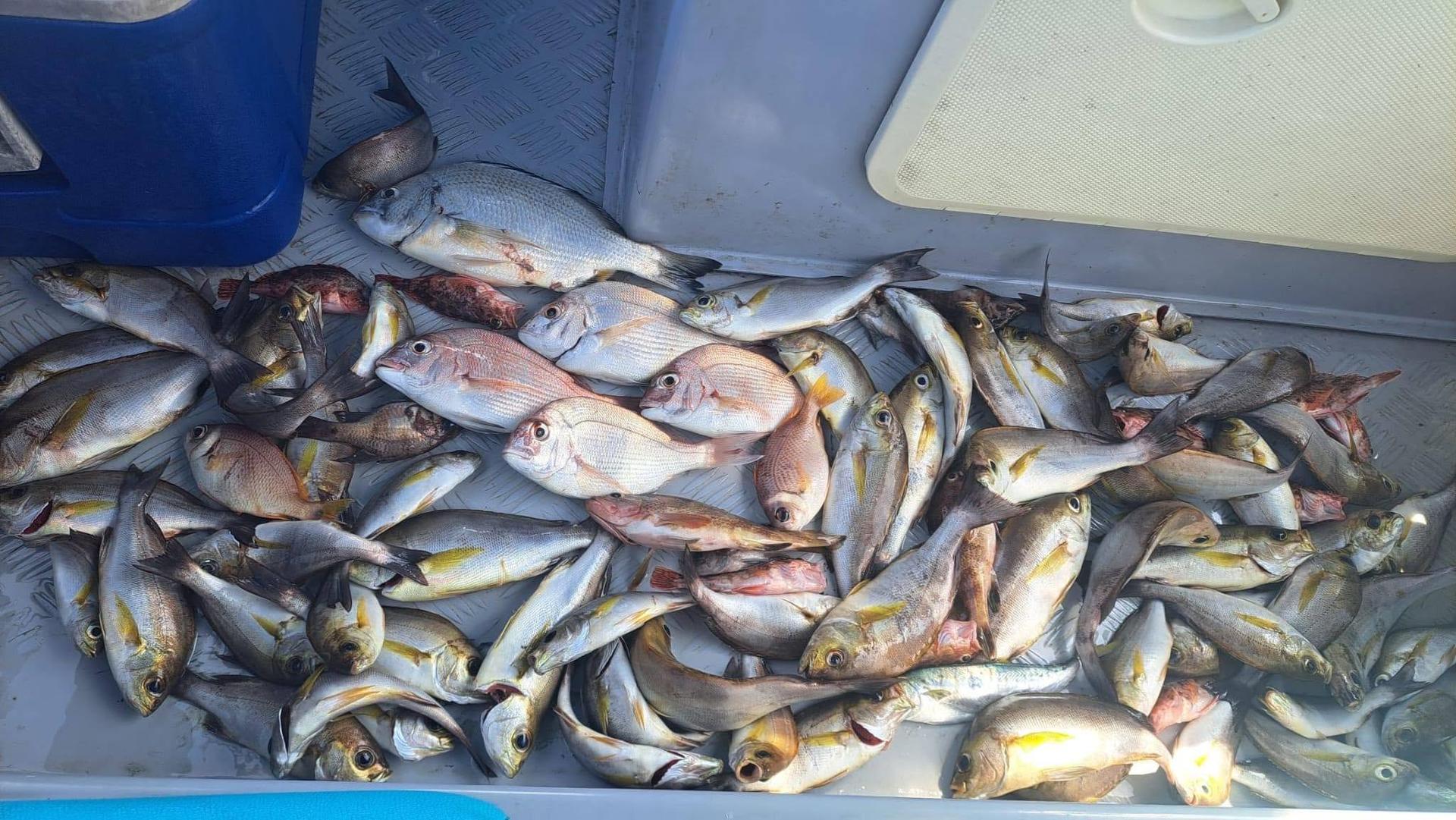 Ji Son Fishing Hong Kong Water Private Boat Fishing Group - Thumbnail 11