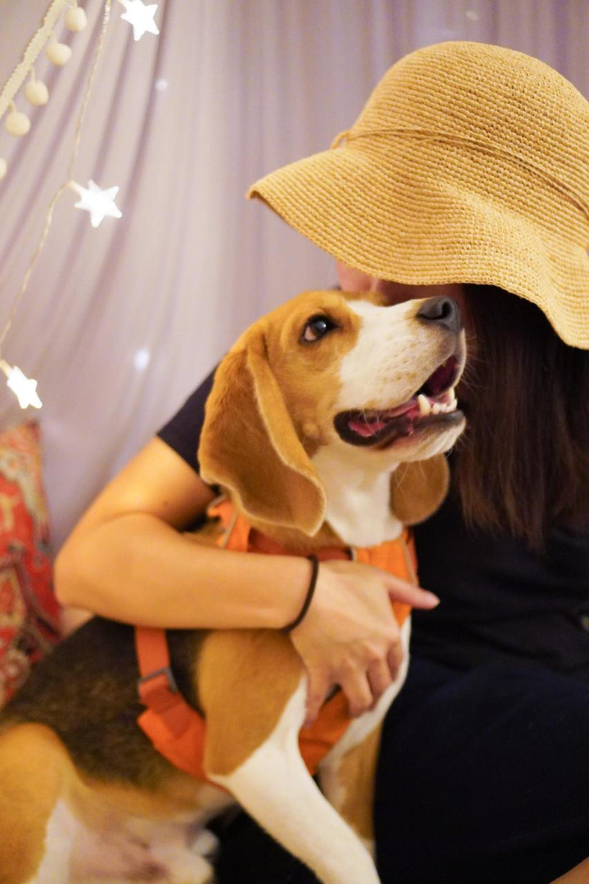 Hong Kong Kwun Tong Pet Photography (STUDIO) | Kwun Tong Studio + Kwun Tong Promenade - Thumbnail 9