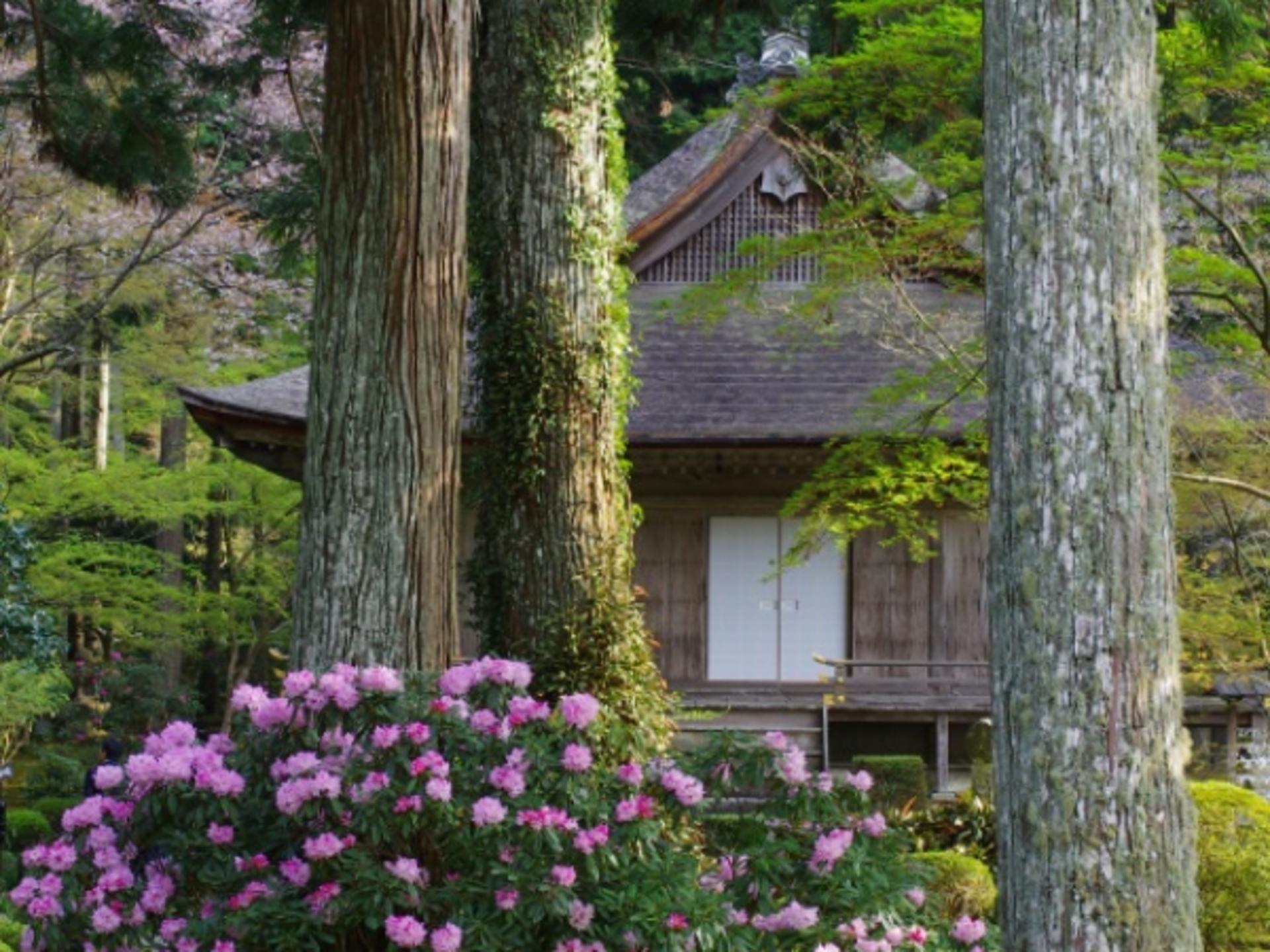One-day trip to Kyoto's Kifune Shrine, Arashiyama, and Sanzen-in Temple - Thumbnail 6
