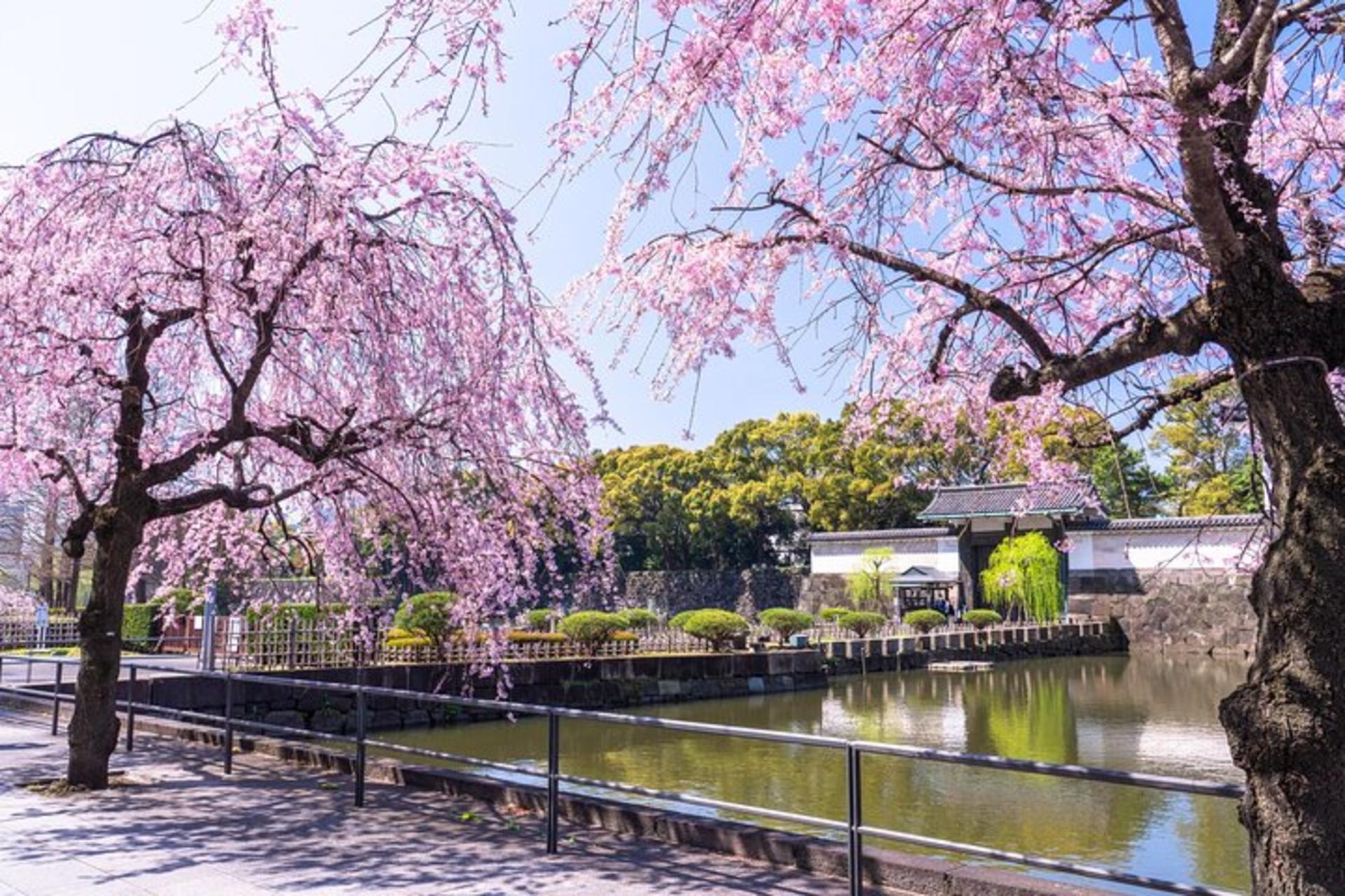  Tokyo Private Walking Tour of the Imperial Palace East Gardens - Thumbnail 7