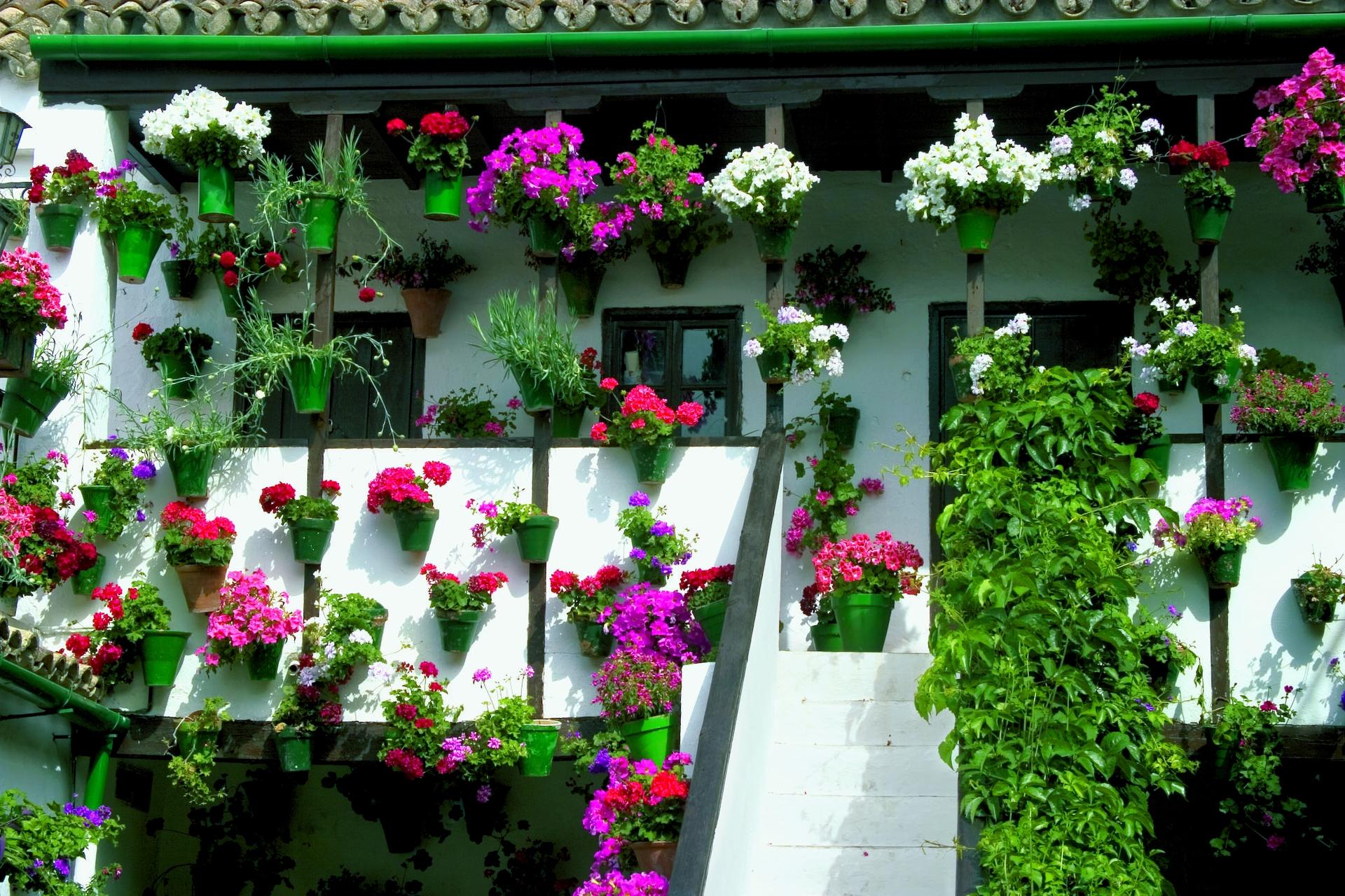 Patios of Cordoba Tour - Thumbnail 4