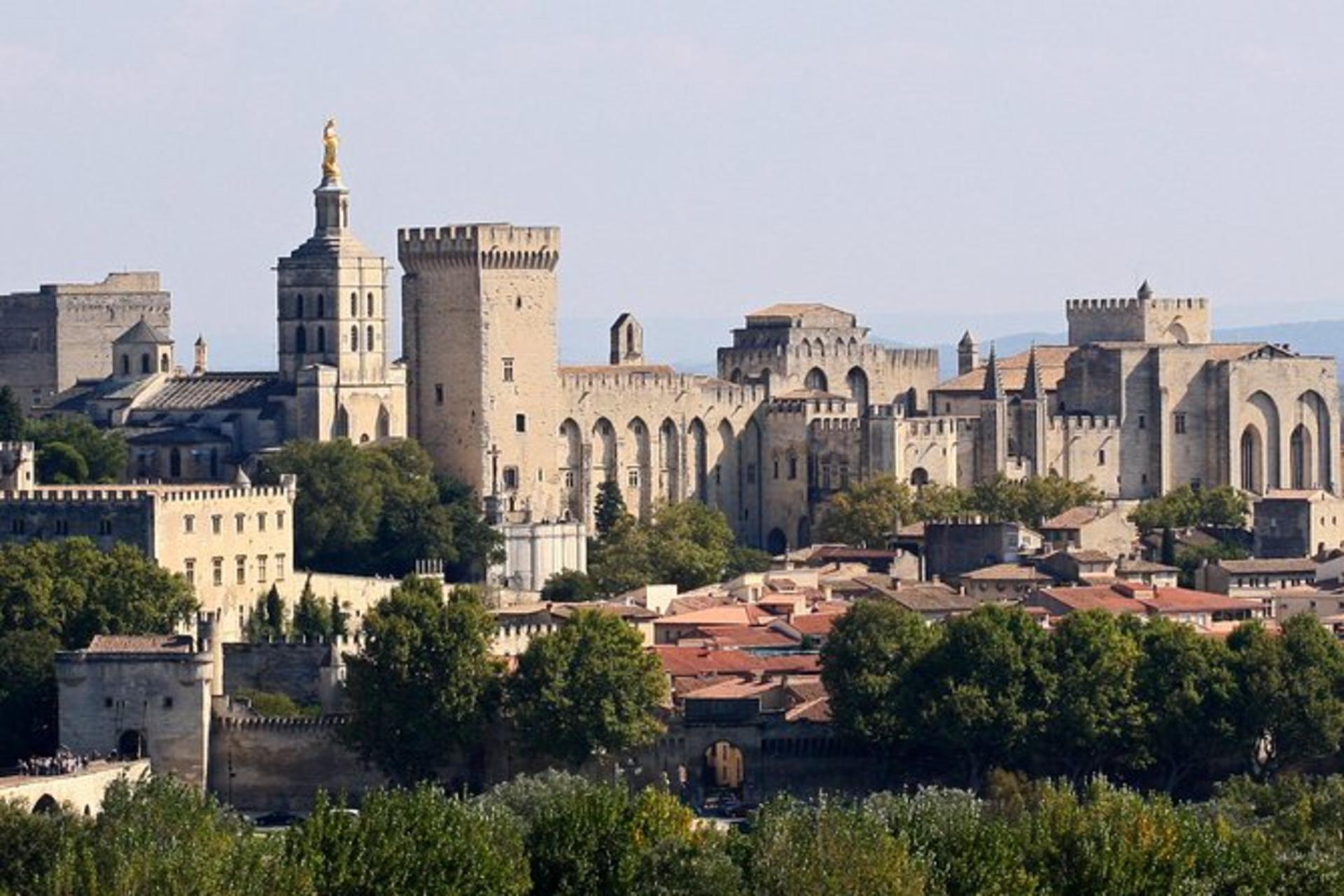 Palais des Papes Ticket in Avignon - Image 1