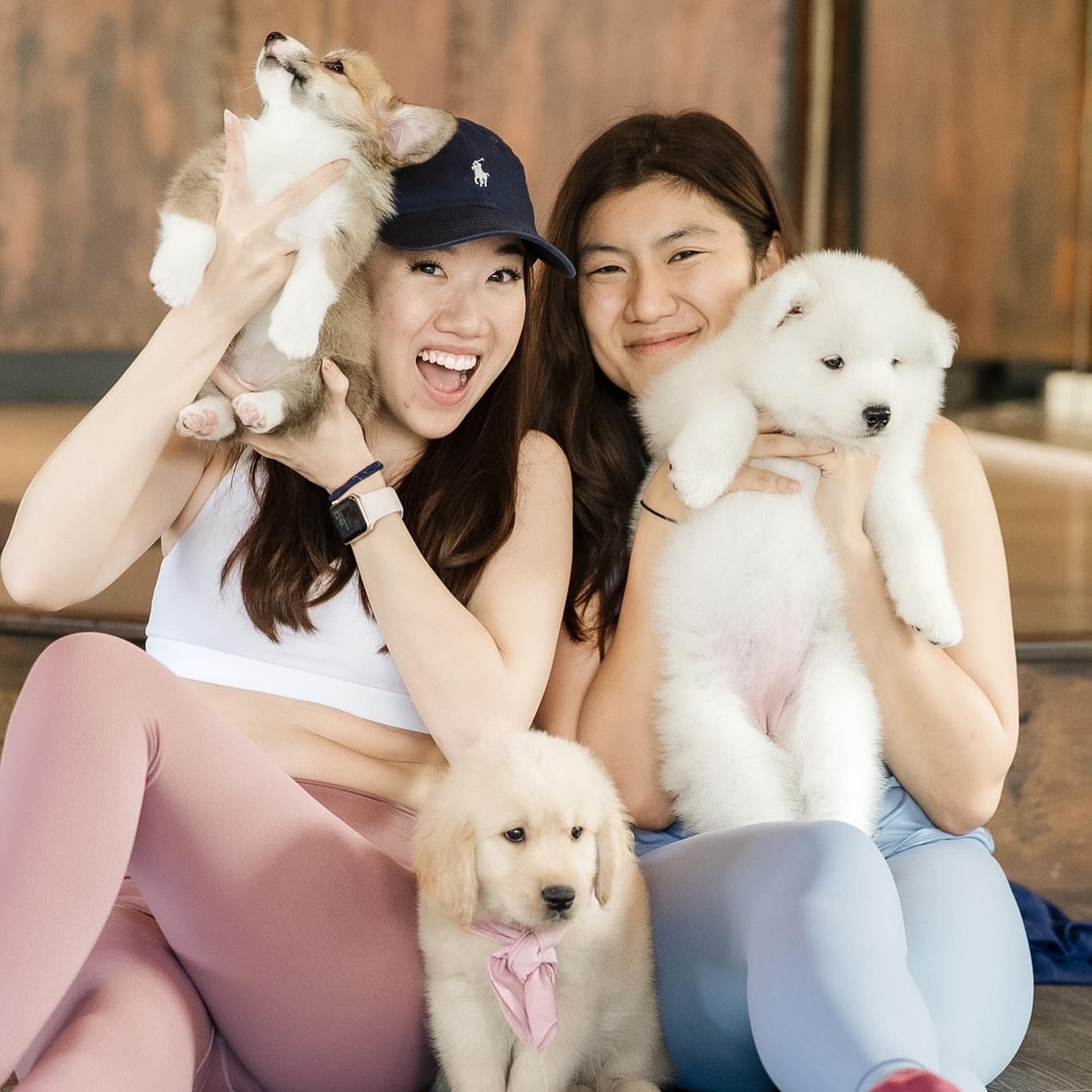 Puppy & Kitten Yoga Therapy with Photo Experience in Bangkok - Thumbnail 2