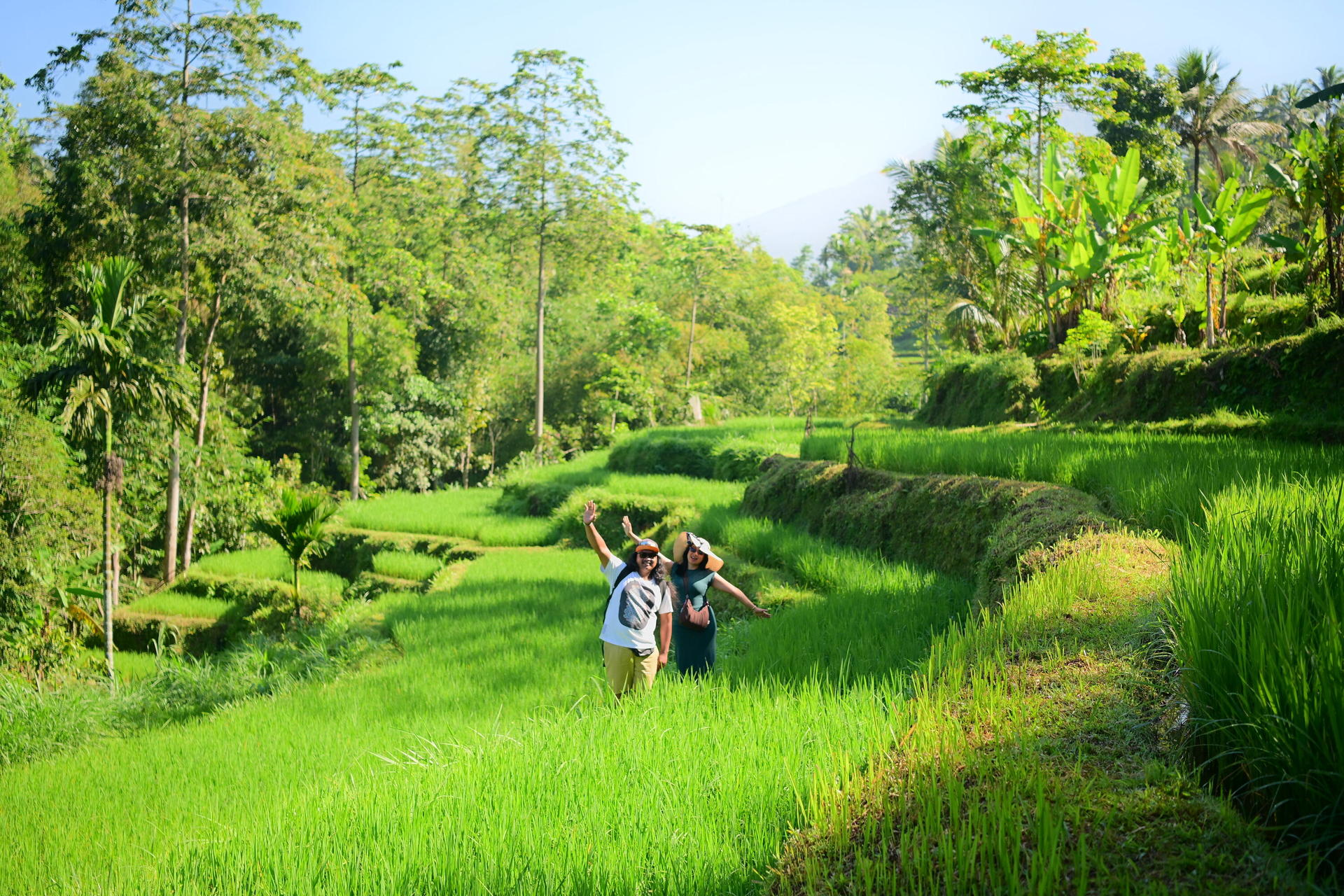 Lombok Tetebatu Full-Day Private Tour - Image 1