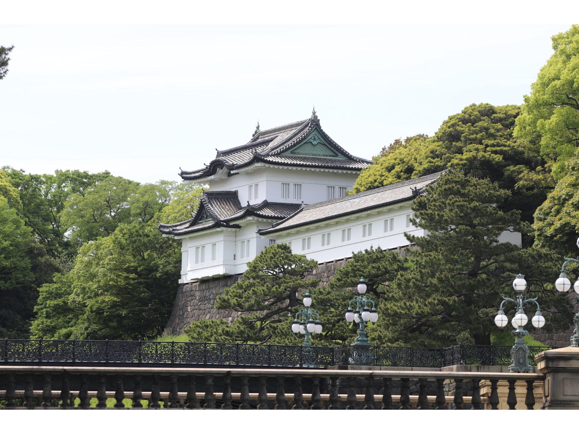 3-Hour E-Bike Experience in Central Tokyo: Palace & Hidden Gems - Thumbnail 4