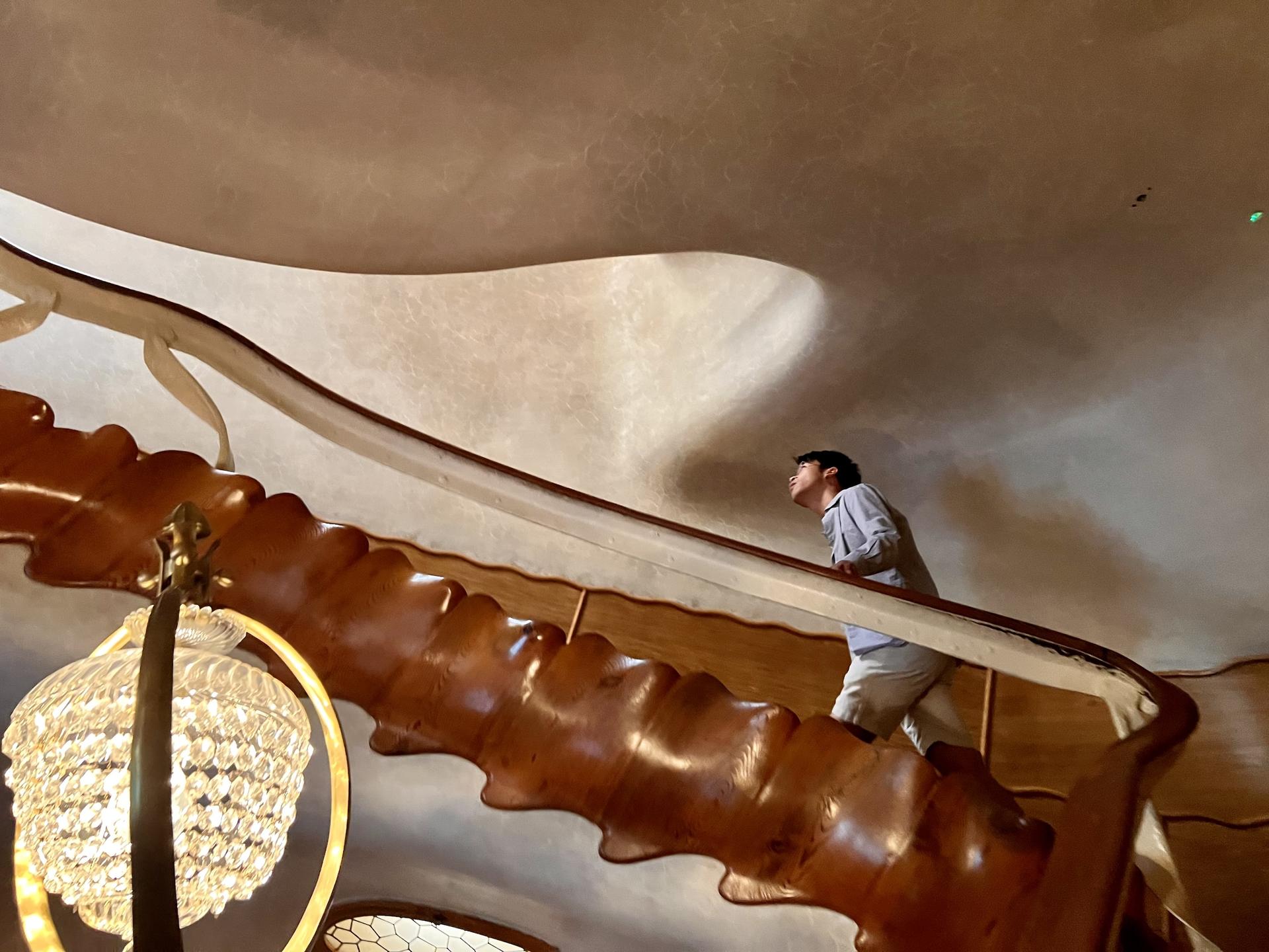 Gaudi Houses Ticket and Tour: Casa Batllo, Casa Mila & Casa Vicens  - Thumbnail 15