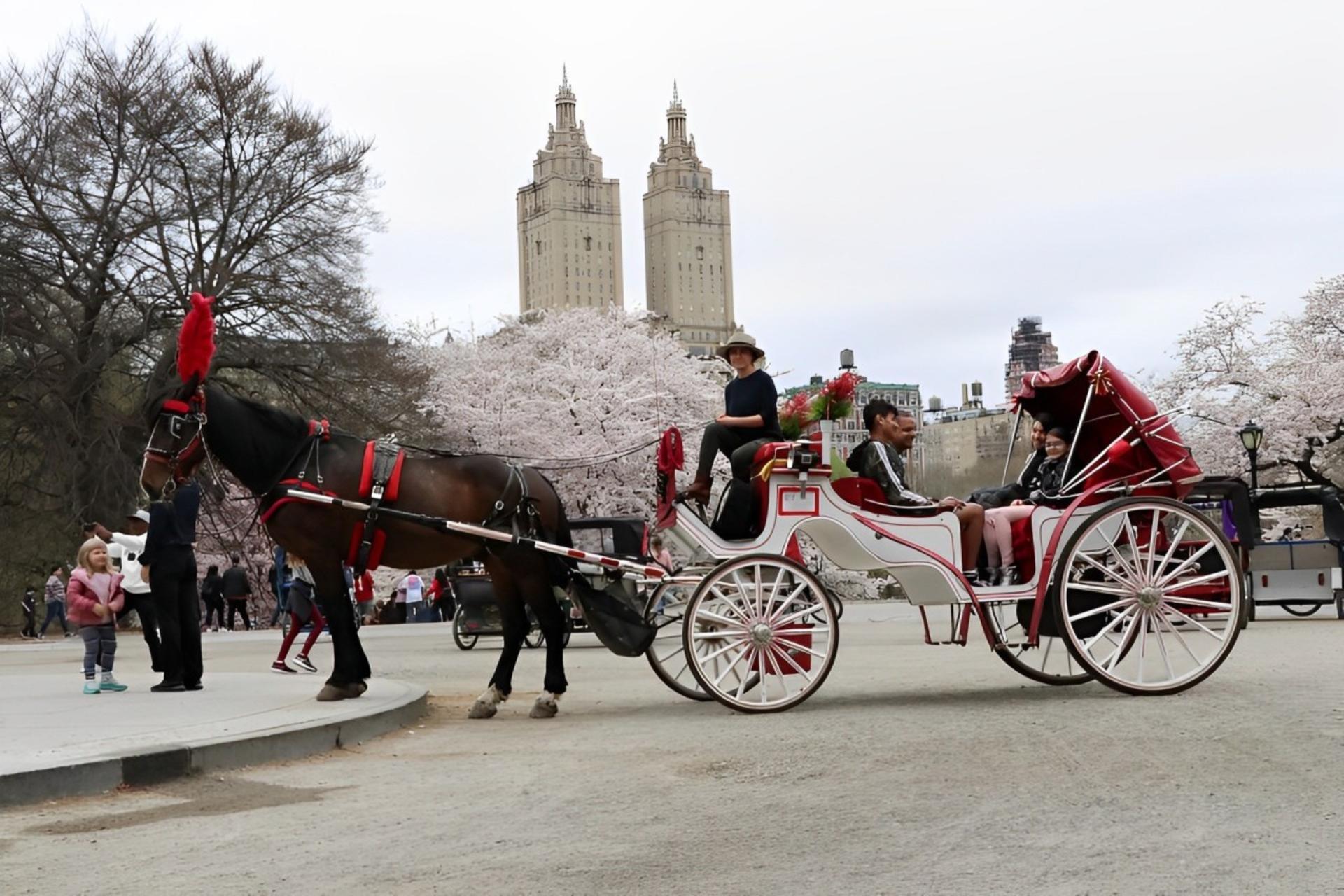 New York City: Horse-Drawn Carriage Tour Through Central Park - Thumbnail 3