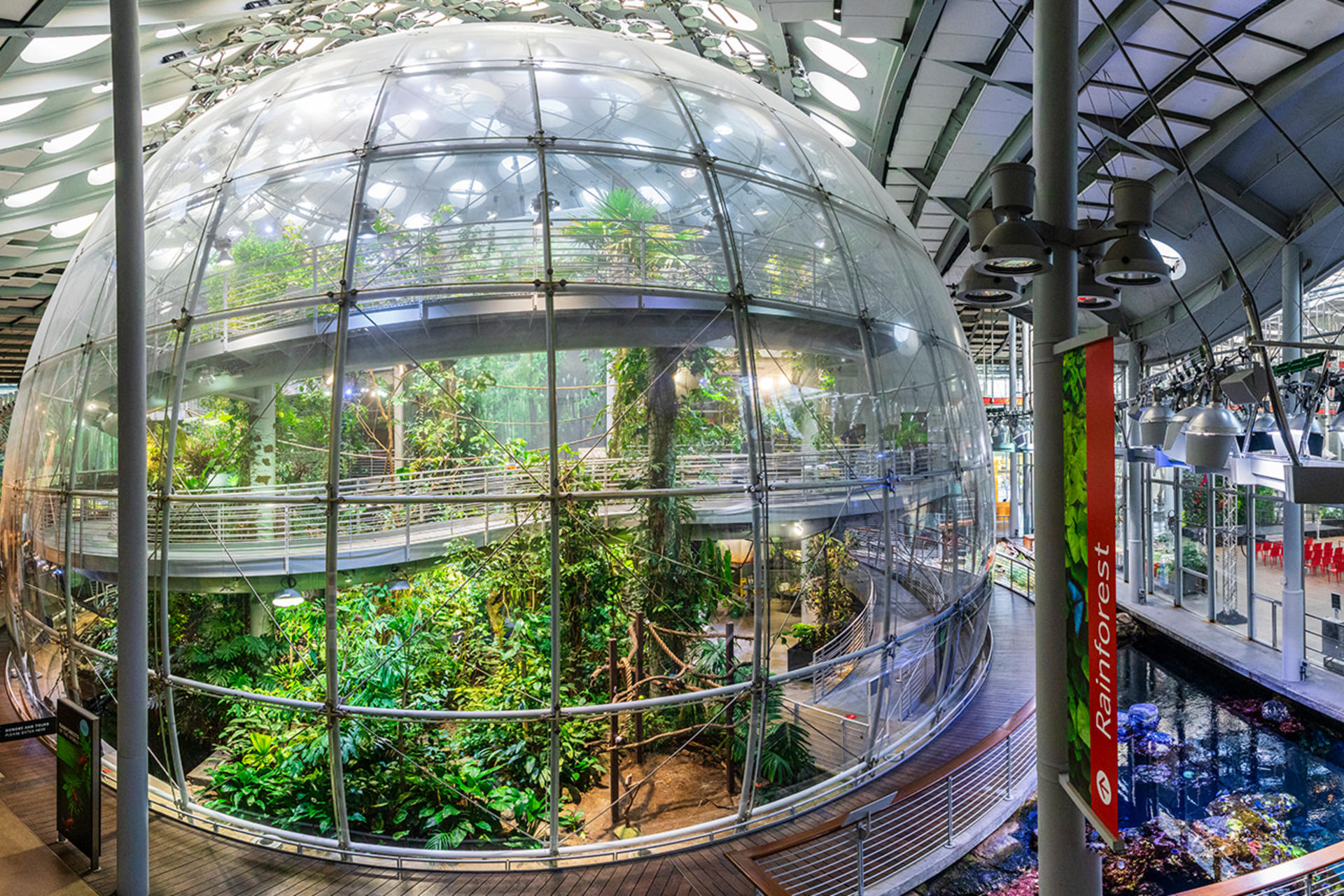 California Academy of Sciences Ticket in San Francisco - Thumbnail 14