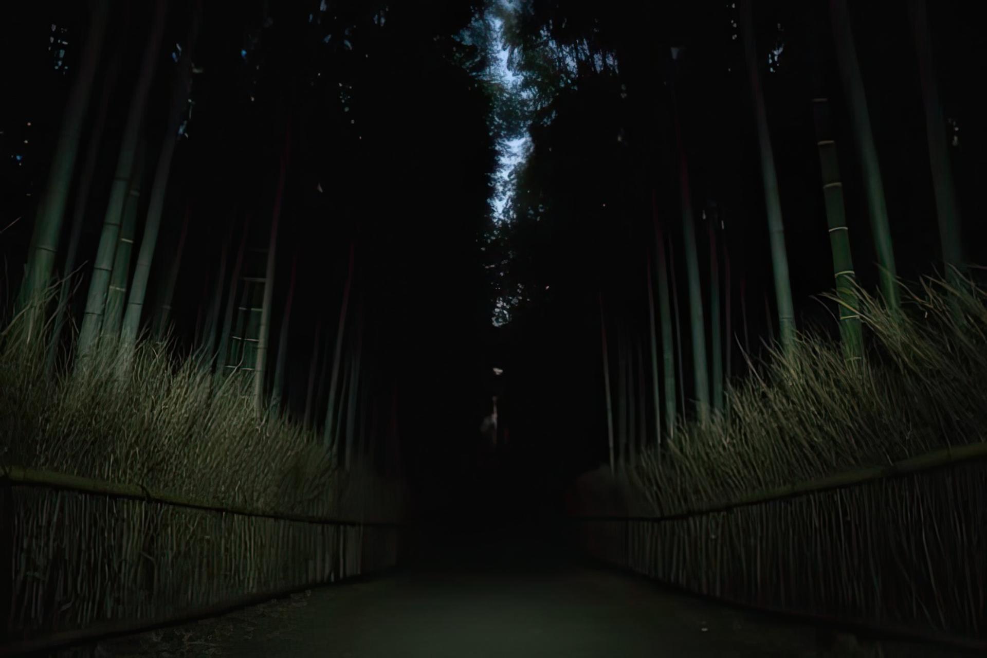 Kyoto Ghost Tour: Bamboo, Unsolved Mysteries & Dark Tales - Thumbnail 8