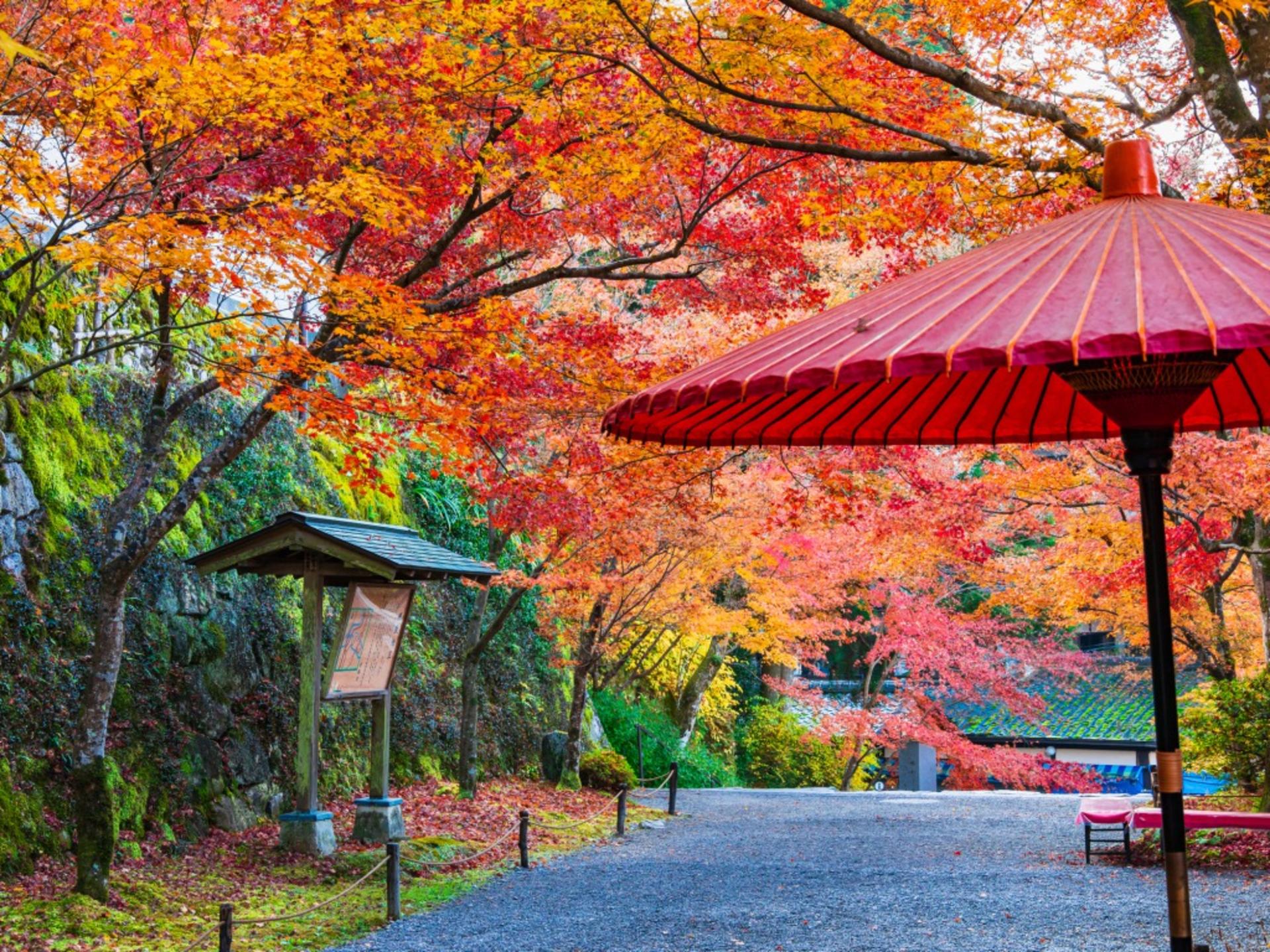 Osaka Departure丨Kansai Region Customized Private Car Day Tour (Osaka/Kyoto/Nara/Kobe/Wakayama) - Thumbnail 13