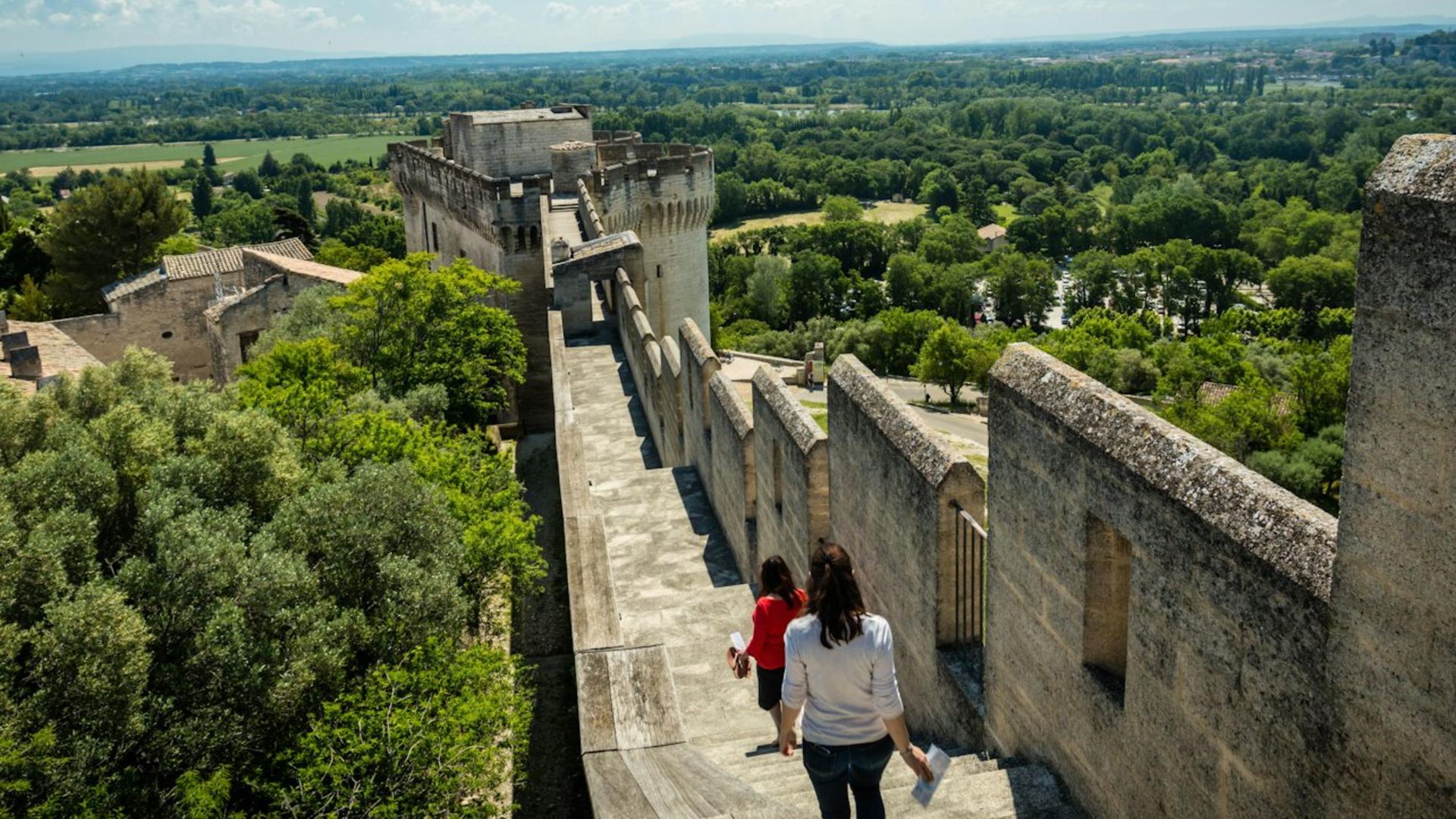 Fort Saint-Andre ticket  - Thumbnail 3