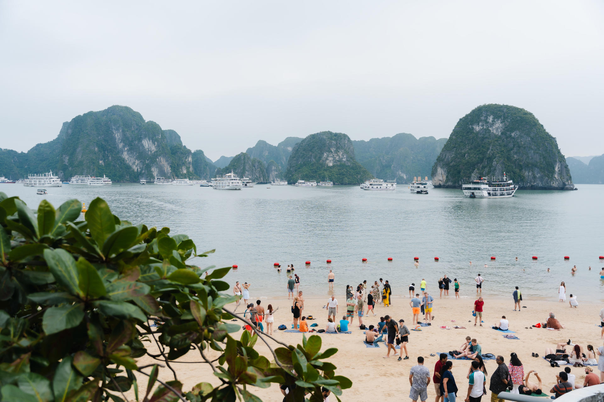 Du Yen 2D1N Luxury Cruise: Ha Long Bay with Sung Sot & Ti Top - Thumbnail 20