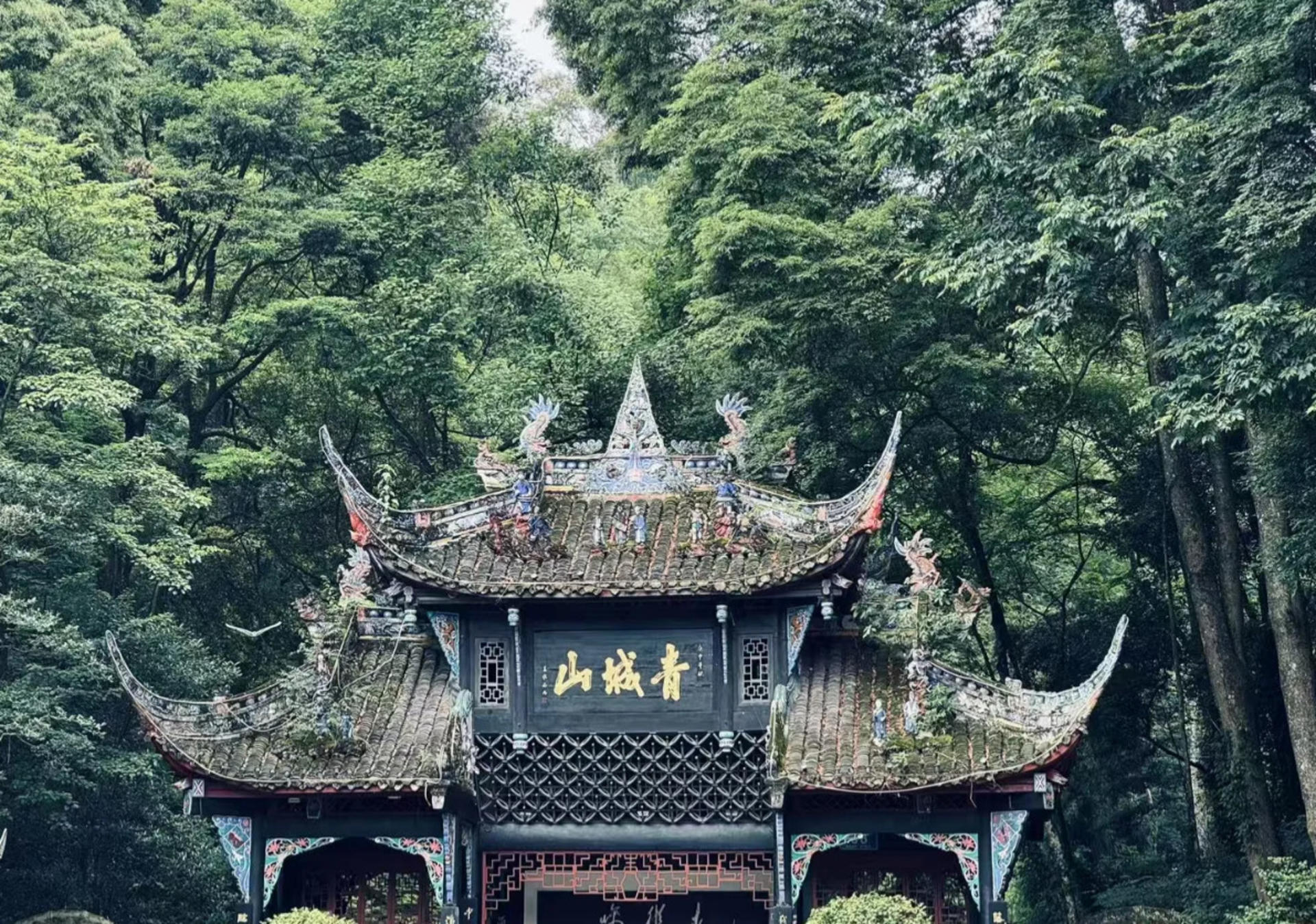 Chengdu Dujiangyan & Mount Qingcheng Day Tour (including natural scenery) - Thumbnail 6