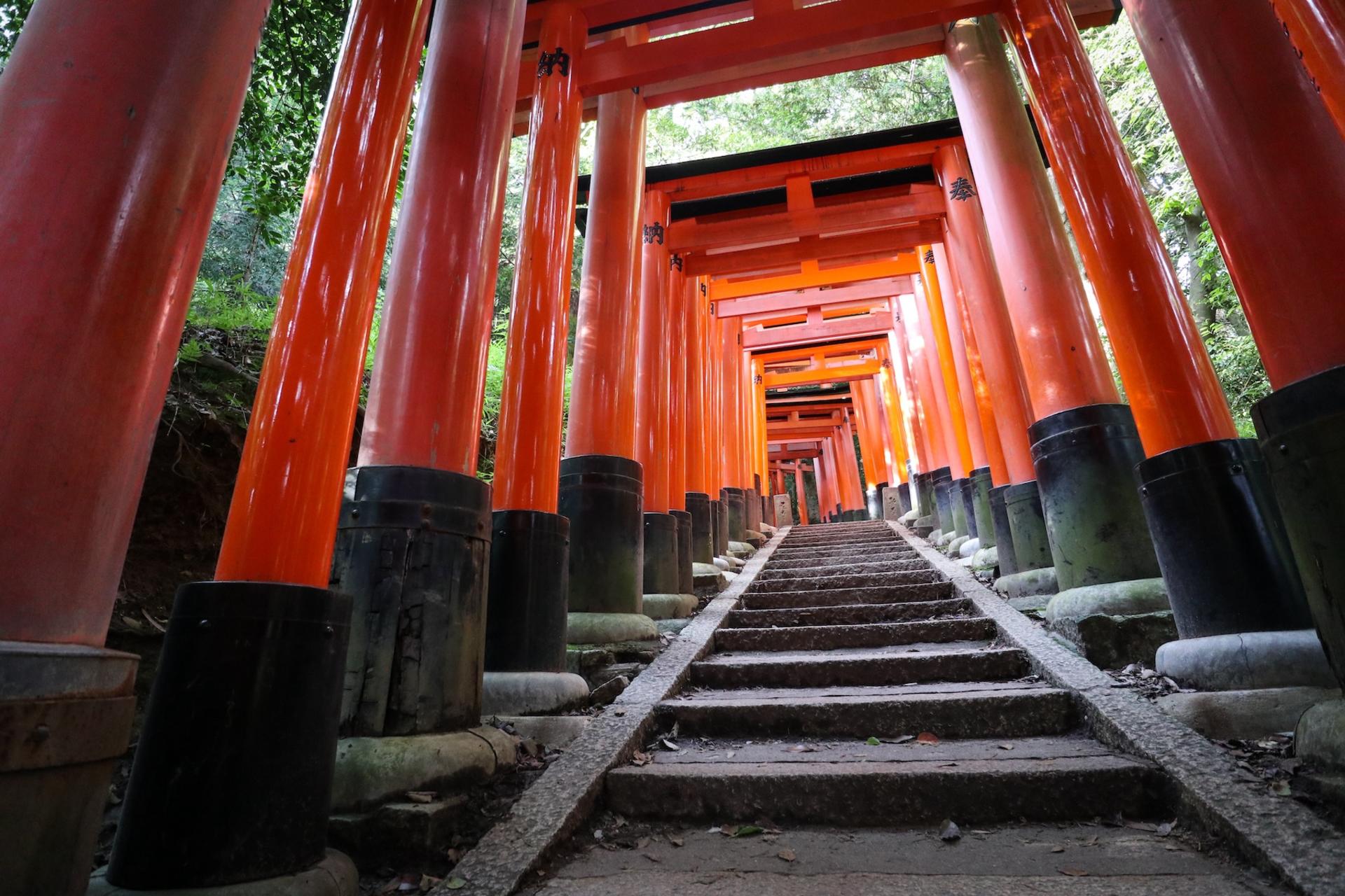 Fushimi Inari Hidden Hiking Tour : Escape the Crowds - Thumbnail 20