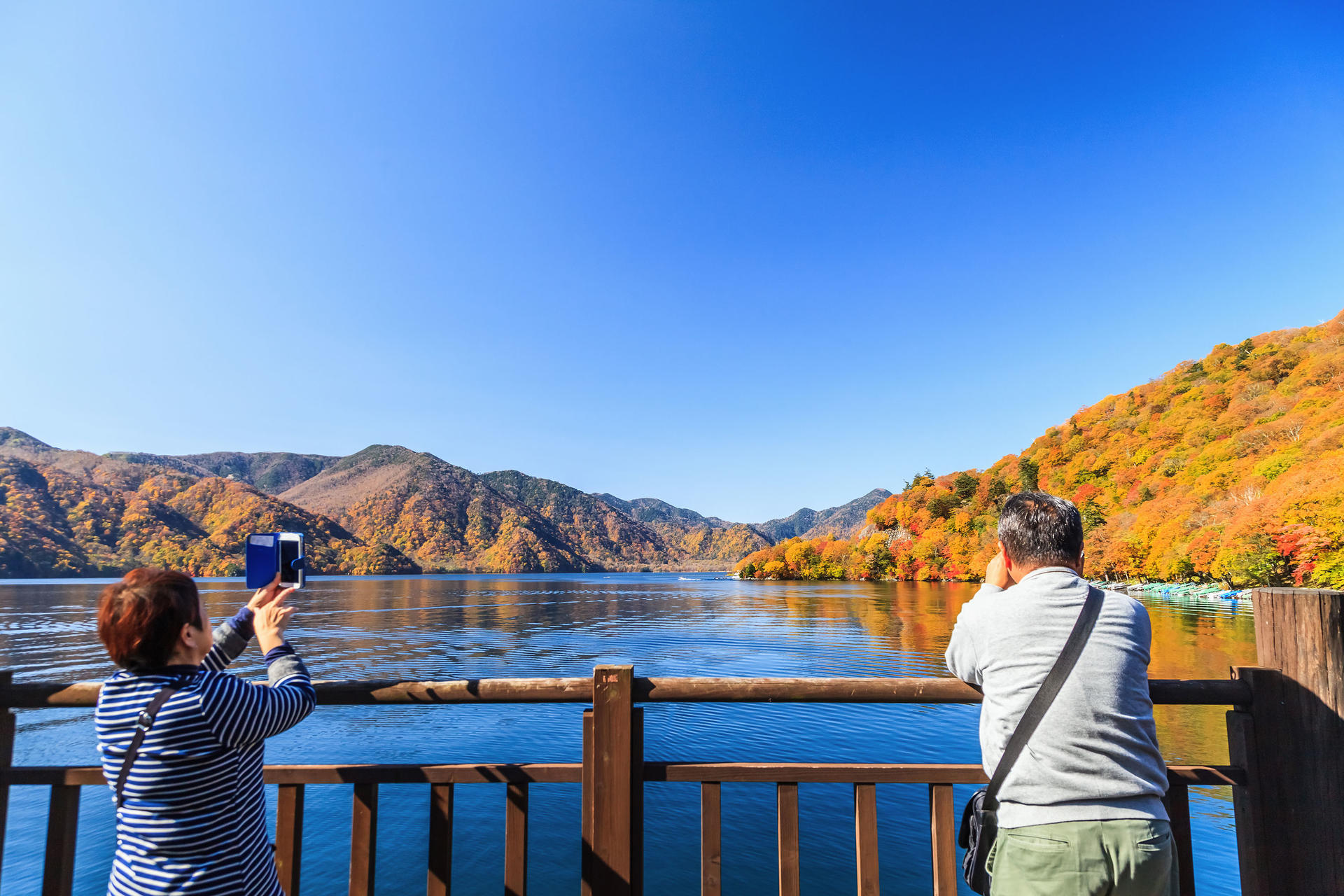 Nikko Autumn Special: Irohazaka, Kegon Falls & Toshogu Day Tour - Thumbnail 7
