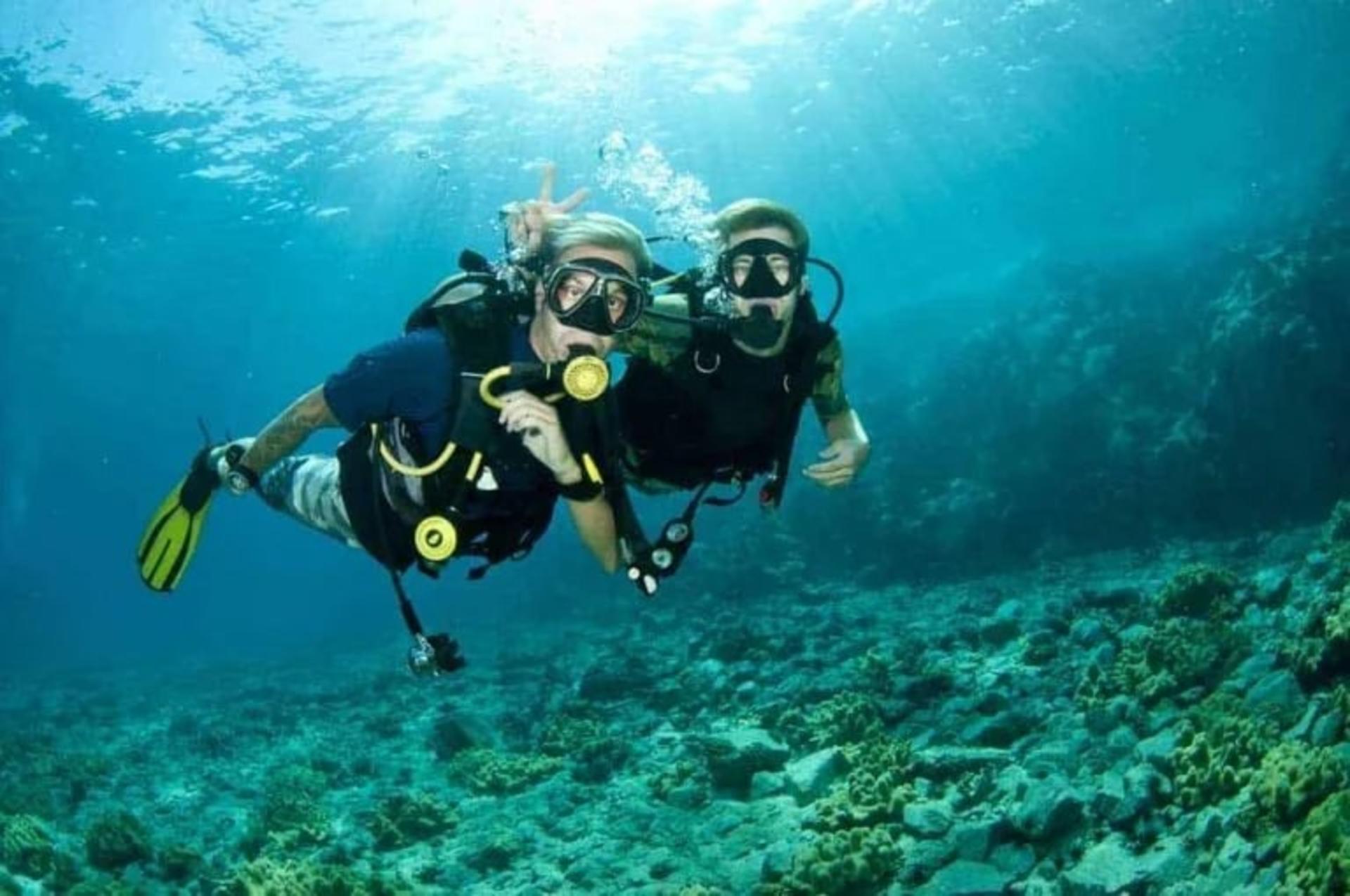 Full Day Dive Trip from Labuan Bajo by Dragon Dive Komodo - Thumbnail 8