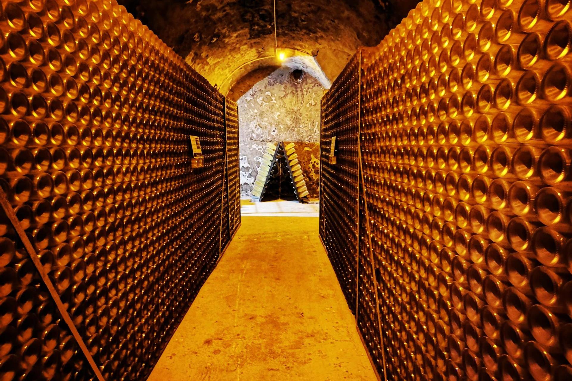 Champagne Tasting at three Family Estates Tour with Lunch from Reims - Thumbnail 6