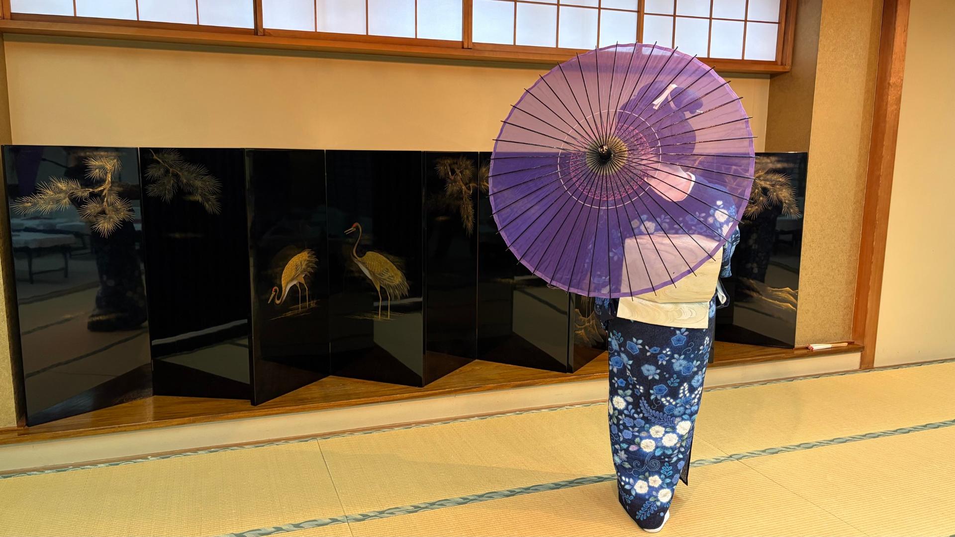 1 Hour Geisha Show in Asakusa Tokyo - Thumbnail 17