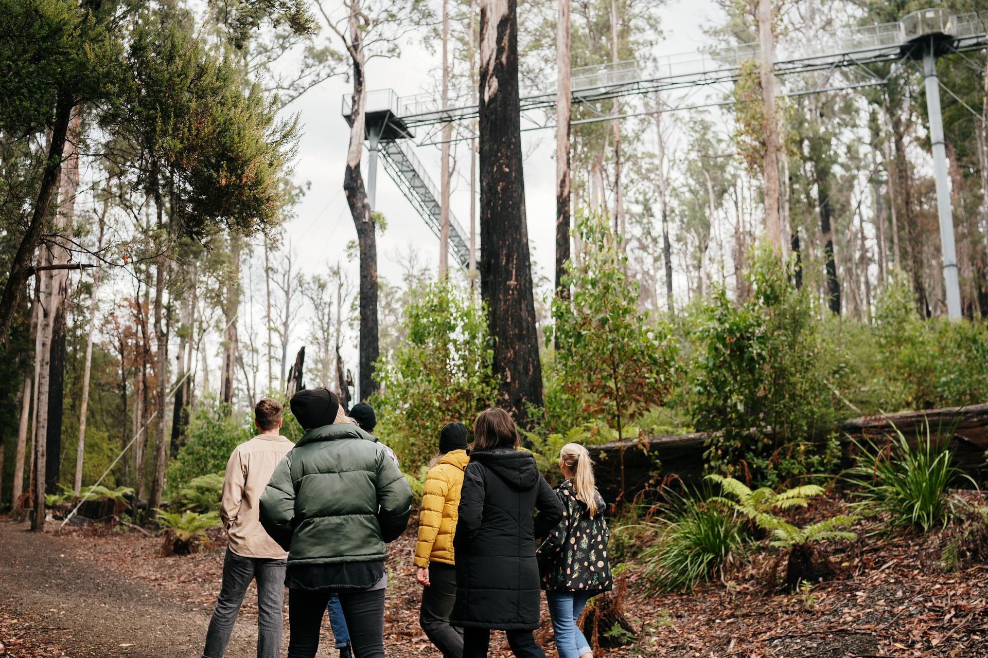 Hastings Cave, Tahune Airwalk and Huon Tasting Day Tour - Thumbnail 5