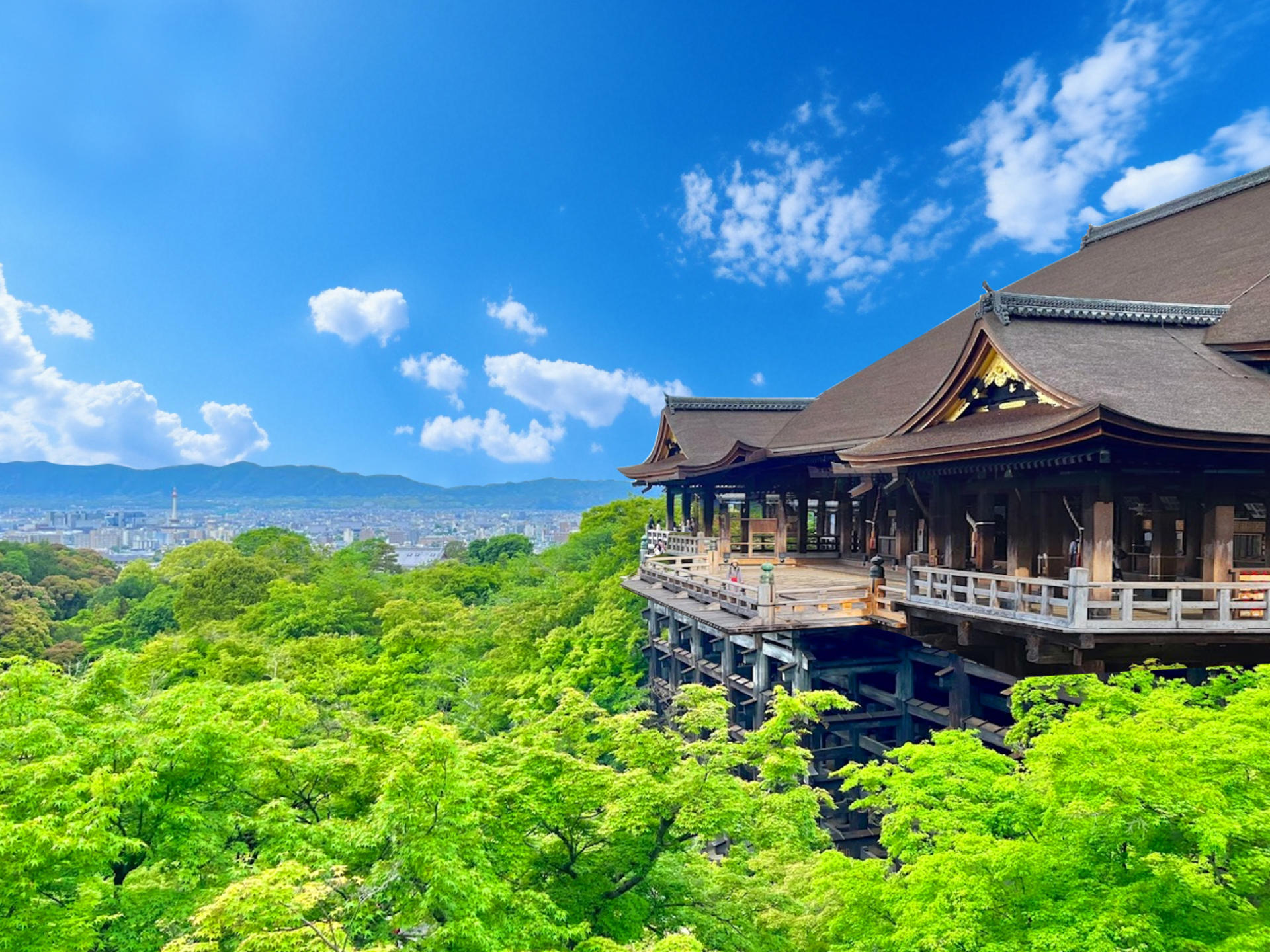 Kyoto & Uji World Heritage One-Day Tour: Kinkaku-ji Temple & Kiyomizu-dera Temple & Byodo-in Temple & Uji Matcha Food Street (Departing from Osaka or Kyoto) - Thumbnail 27