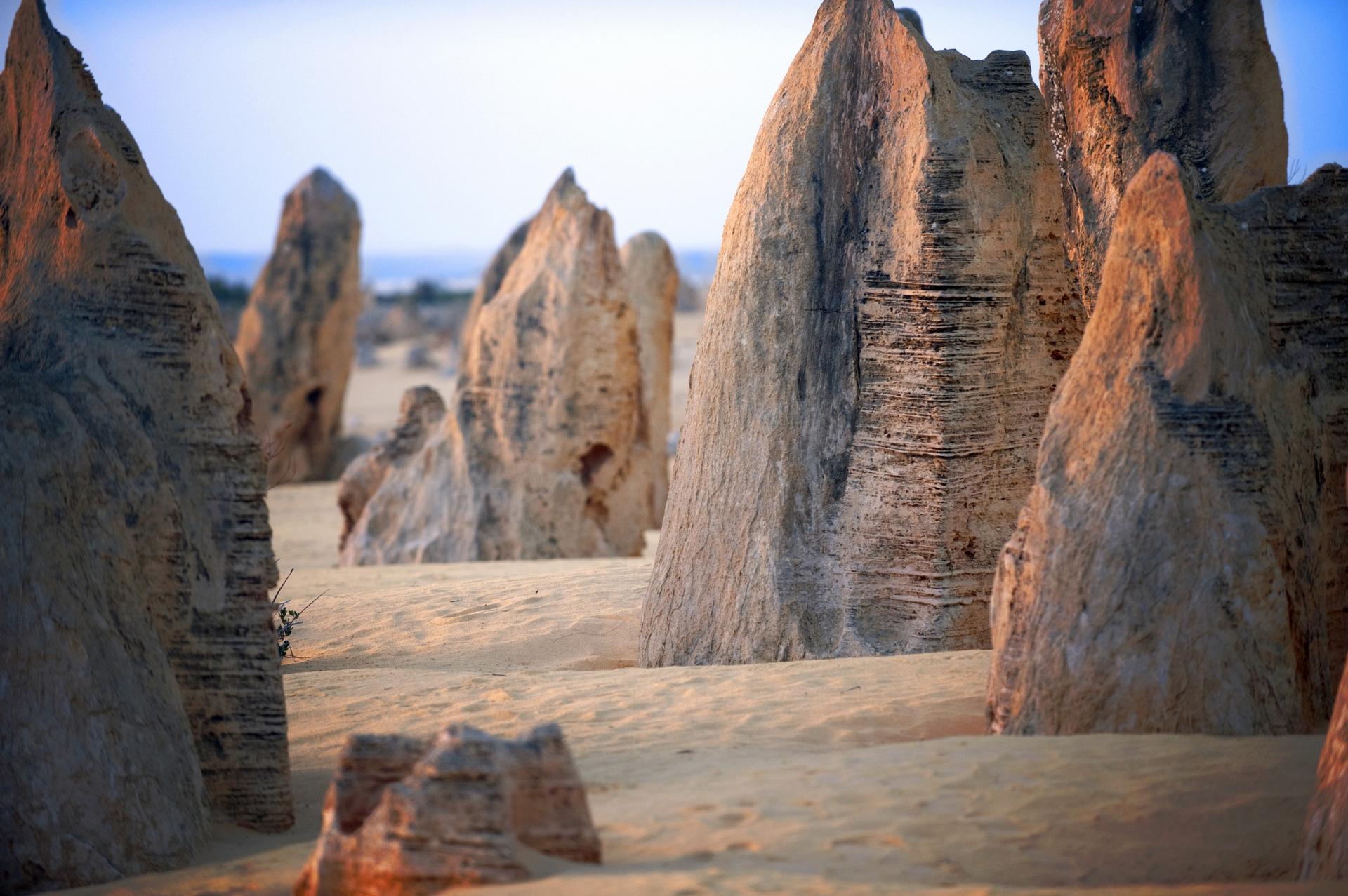 Pinnacle Desert, Yanchep and Swan Valley Tour - Thumbnail 11