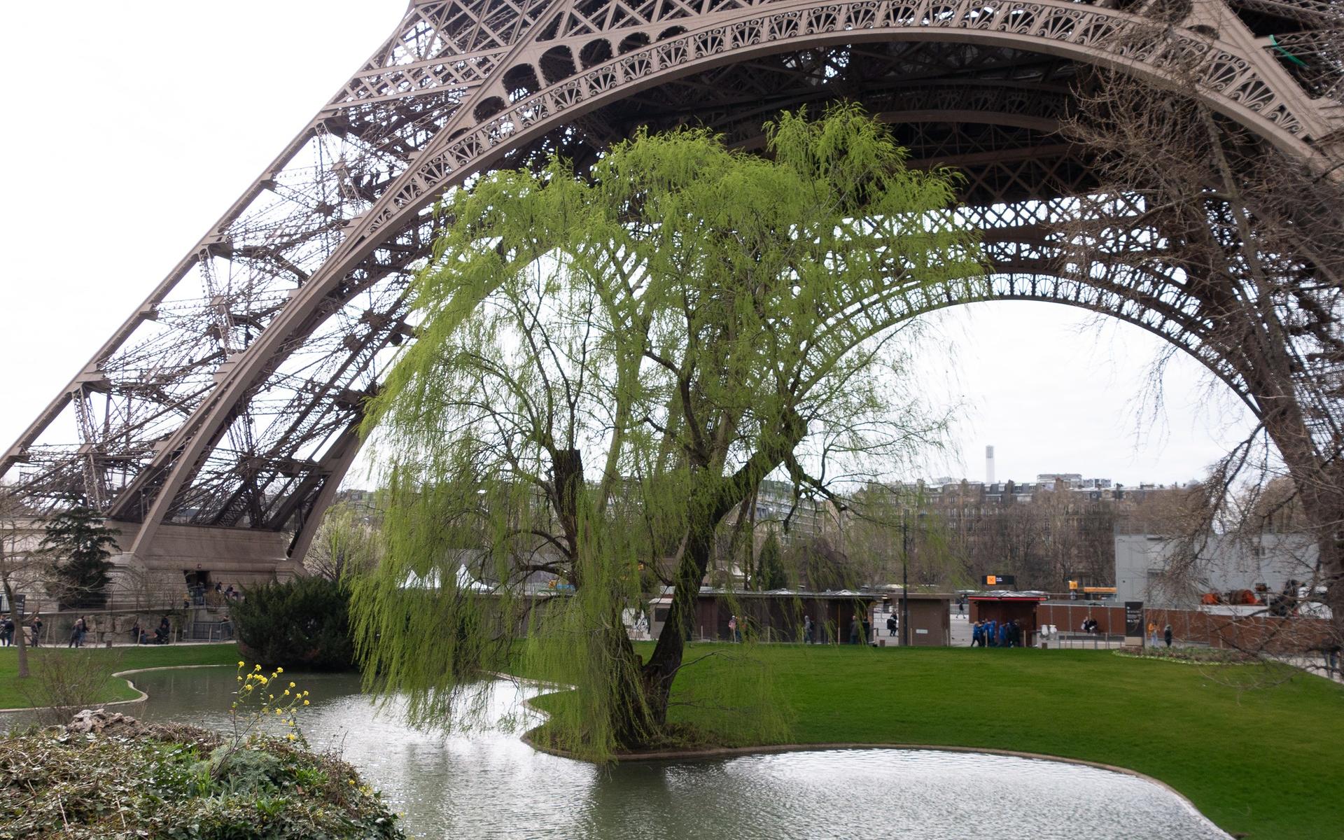Eiffel Tower, Louvre & Seine Cruise Tour in Paris - Thumbnail 9