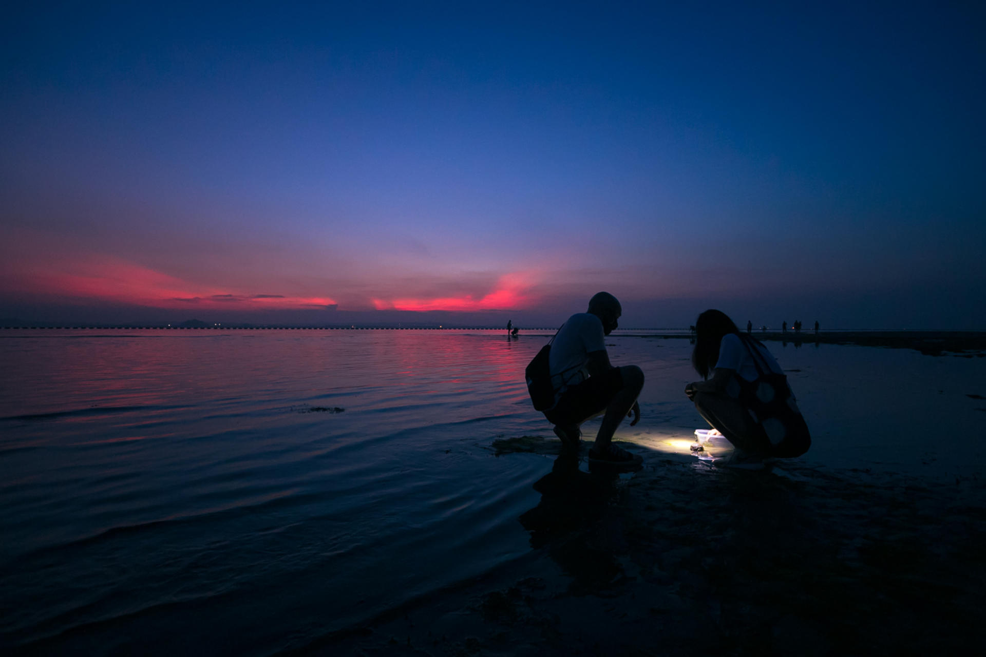 Experiential Intertidal Exploration by The Untamed Paths - Thumbnail 5