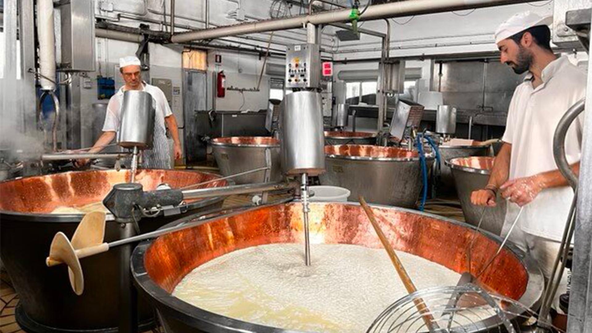 Parma Parmigiano-Reggiano Half-Day Big Group Tour - Thumbnail 3